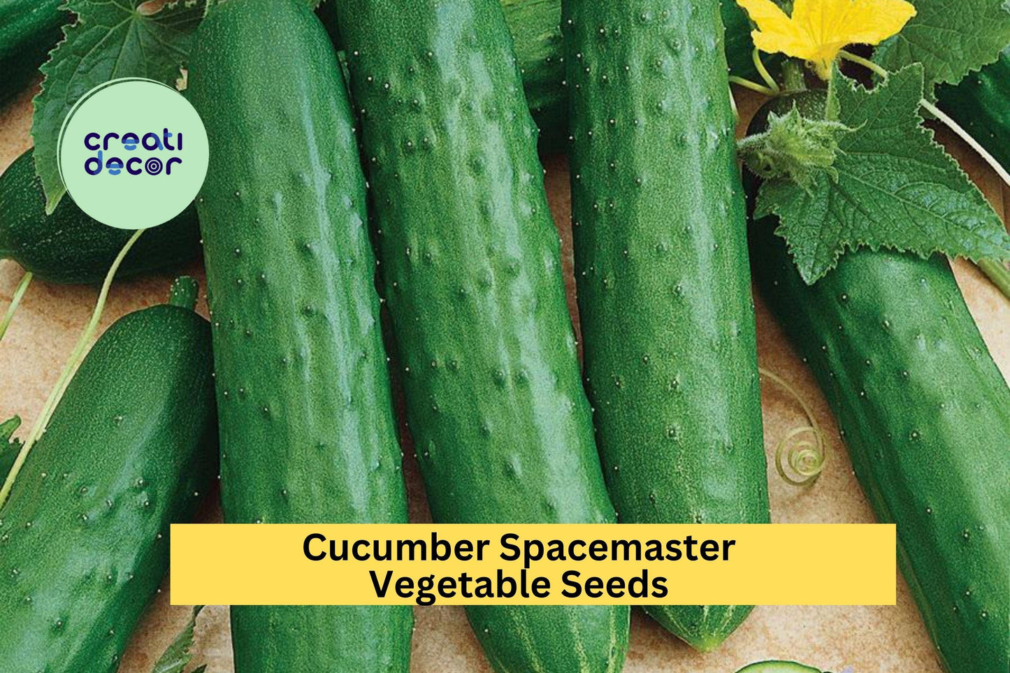 3pcs x 1g Cucumber Spacemaster 80 Seeds, Compact Bush Variety for Containers, Raised Beds, Cucumis sativus