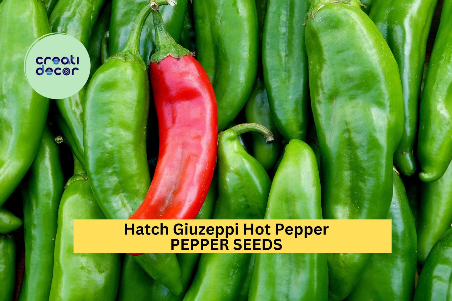 3pcs Hatch Giuzeppi Hot Pepper Seeds – Medium-Heat Chili Seeds for Roasting, Salsas, and Cooking – Capsicum annuum