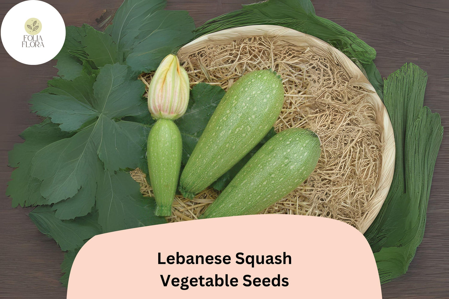 Lebanese Cousa Squash Seeds | Heirloom Summer Vegetable | Cucurbita pepo | 25+ Fresh Seeds for Planting
