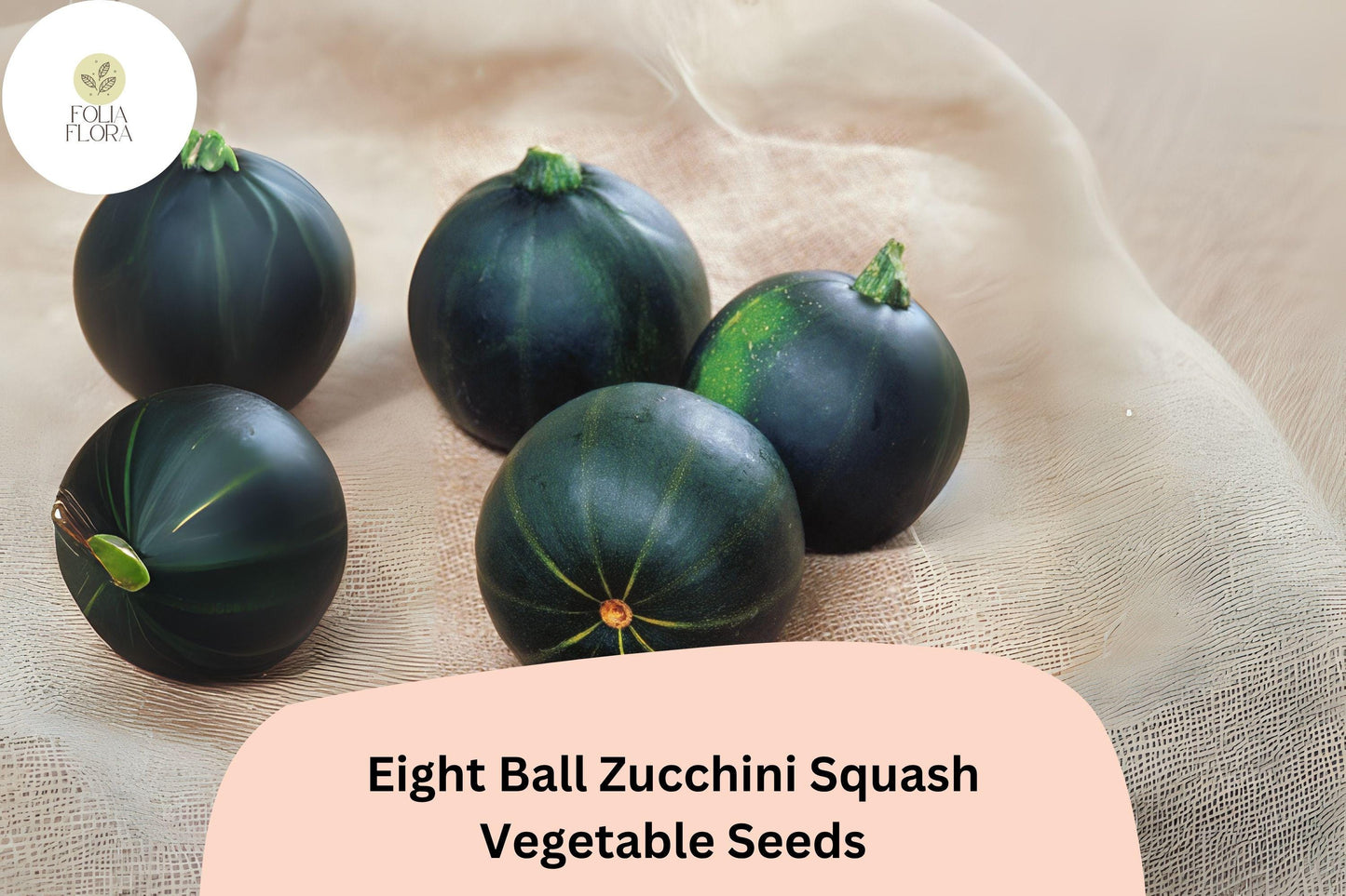 Eight Ball Zucchini Seeds | Round Summer Squash for Stuffing & Grilling | Cucurbita pepo