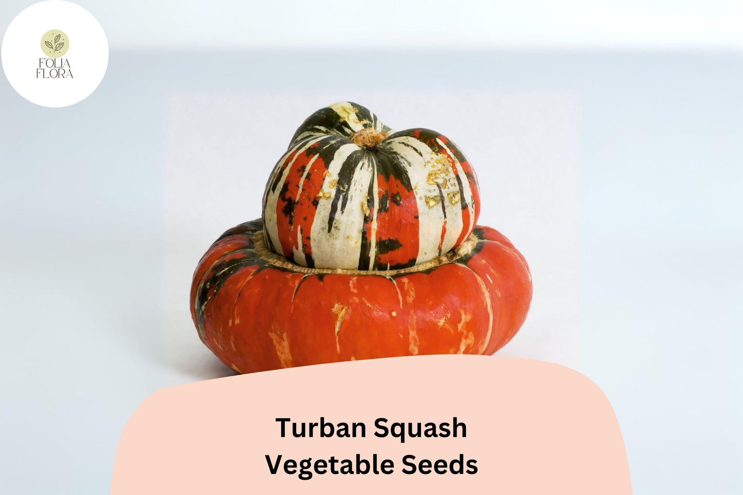 Turban Squash Seeds | Heirloom Cucurbita maxima | Edible & Decorative Ornamental Fruit