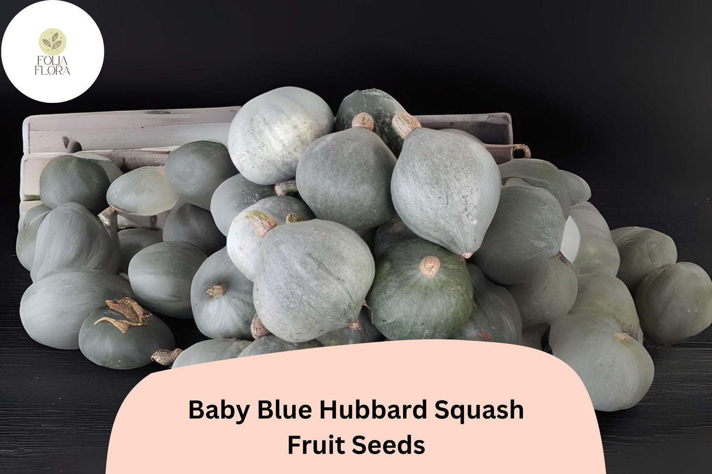 Baby Blue Hubbard Squash Seeds | Winter Baking & Roasting | Cucurbita maxima | 25+ Seeds
