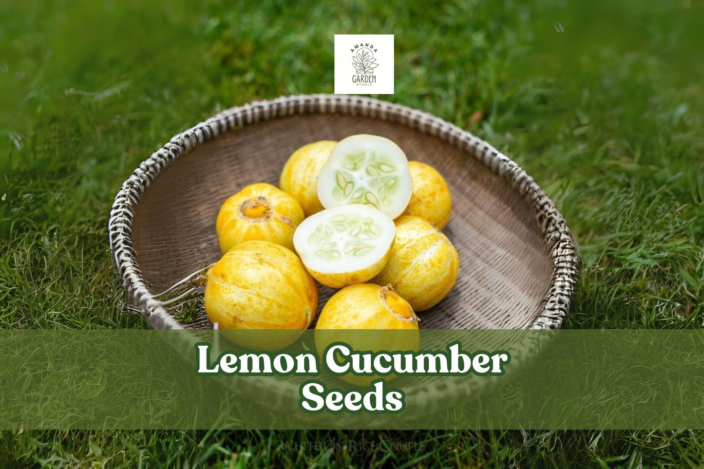 Lemon Cucumber Seeds – Heirloom Round Yellow Cucumbers for Salad & Pickling – Cucumis sativus var. melo, 100 Pack