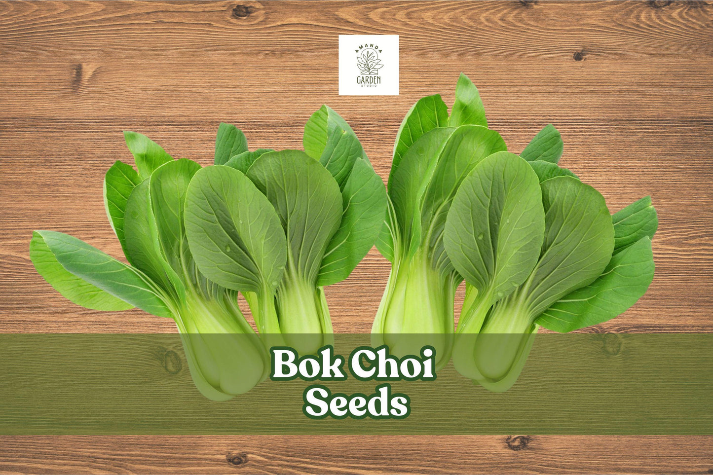 100 Bok Choi Seeds – Brassica rapa chinensis Chinese Cabbage for Asian Cooking, Fast-Growing, Non-GMO, Tender Green Leaves