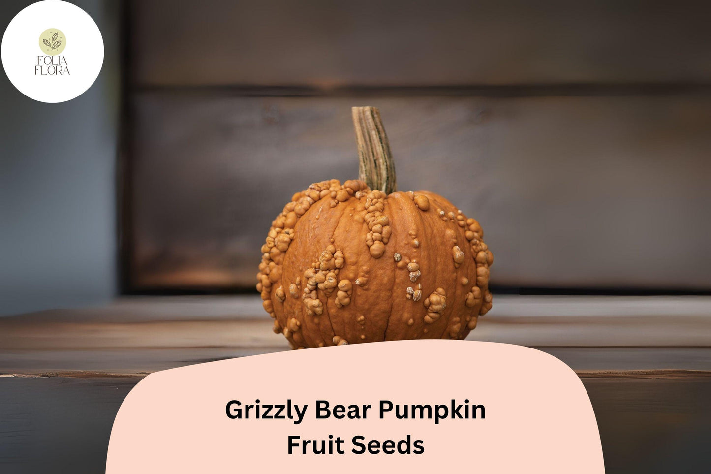 Grizzly Bear Pumpkin Seeds, Rare Brown-Orange Heirloom, Cucurbita maxima, Fall Decor & Cooking, 25+ Seeds