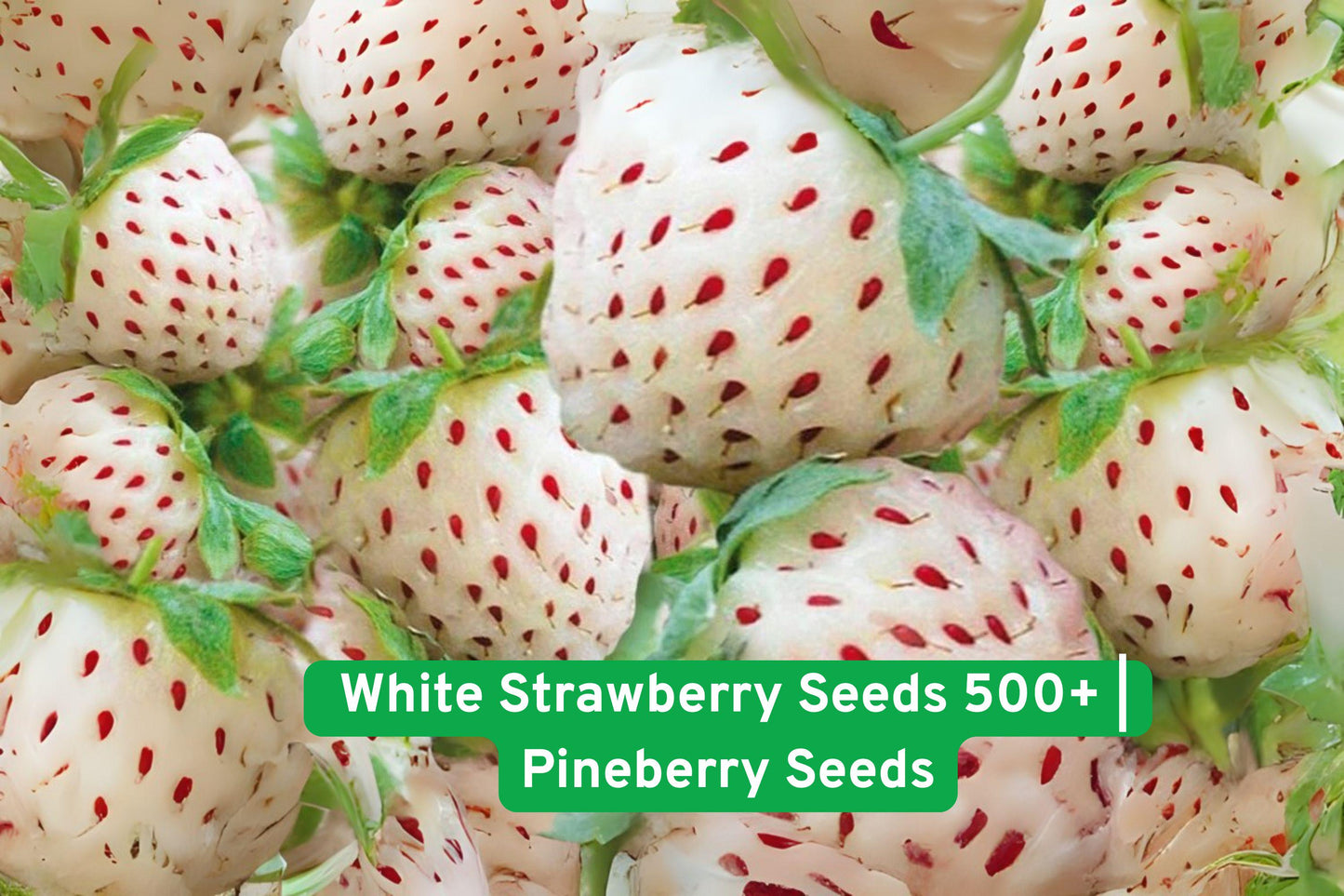 white strawberry seeds, pineberry seeds, exotic fruit seeds, rare berry seeds, pineapple flavor seeds, garden fruit seeds, edible plant seeds, gourmet fruit seeds, beginner gardening seeds, pot plant seeds, unique fruit seeds, fruit lover gift, USA seed packets