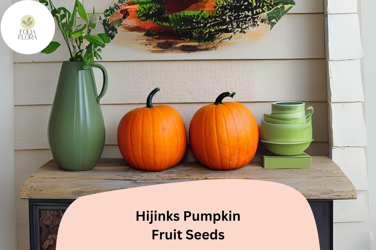 Hijinks Pumpkin Seeds | Mini Fall Decor Pumpkins | Cucurbita pepo | Bright Orange, 6-7 Inches