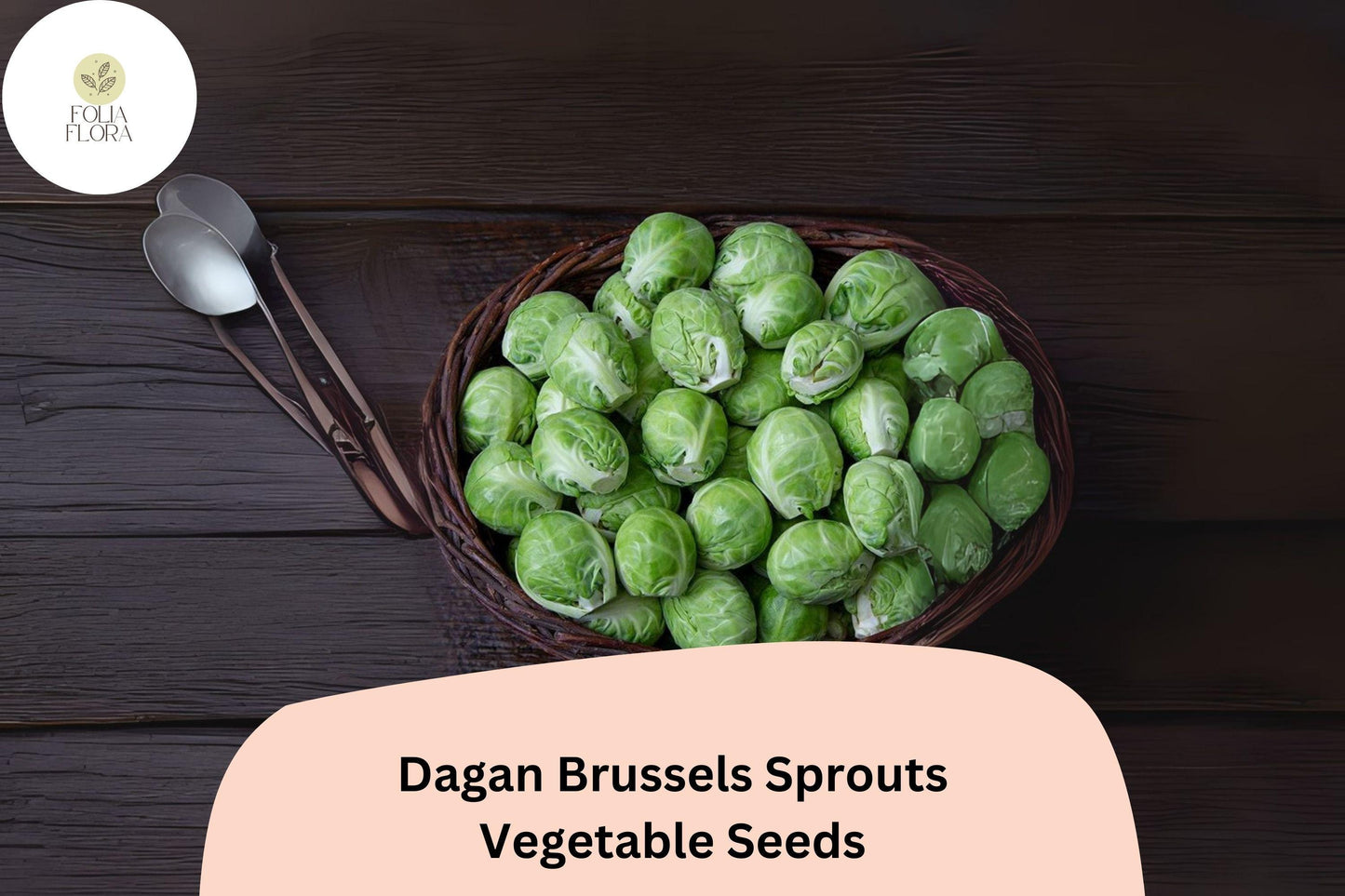 500+ Dagan Brussels Sprouts Seeds | Brassica oleracea var. gemmifera | High-Yield Hybrid Garden Seeds for Tightly Wrapped, Green Sprouts