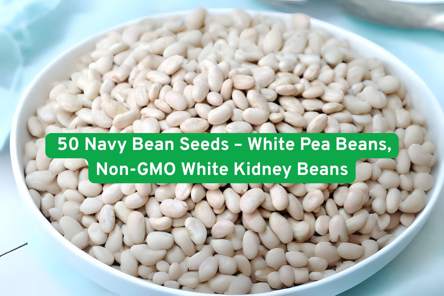 navy bean seeds,white kidney beans,heirloom bean seeds,non-GMO bean seeds,bush bean seeds,edible legume seeds,vegetable garden seeds,nutritious bean seeds,canning bean seeds,freezing bean seeds,starter garden seeds,USDA zone beans,white pea bean seeds