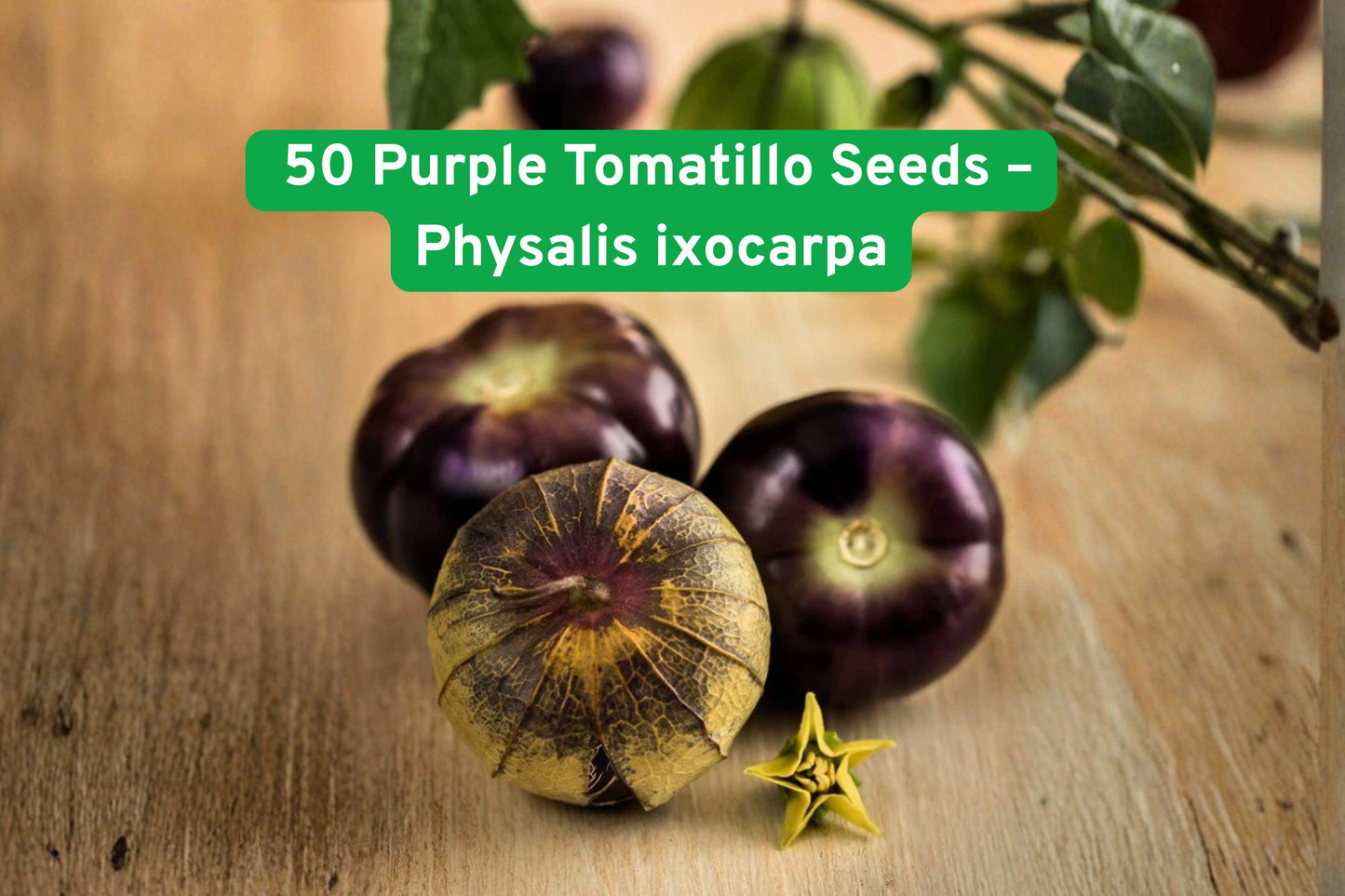 heirloom tomatillo seeds, purple tomatillo plant, salsa tomato seeds, seed for container gardening, colorful vegetable seeds, sweet tomatillo variety, organic seed packets, edible garden seeds, Latin American vegetable, compact vegetable plant, heirloom seed collection, flavorful fruit seeds, home garden vegetable