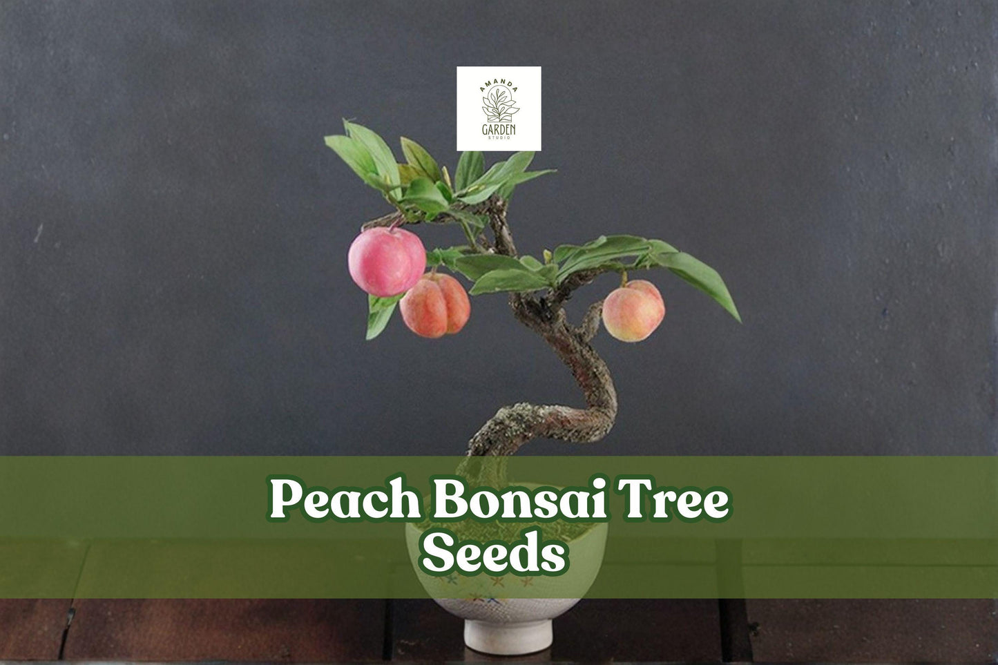 Peach Bonsai Tree Seeds, Prunus persica, Fruit-Bearing Miniature Tree, Easy to Grow, 4 Seeds