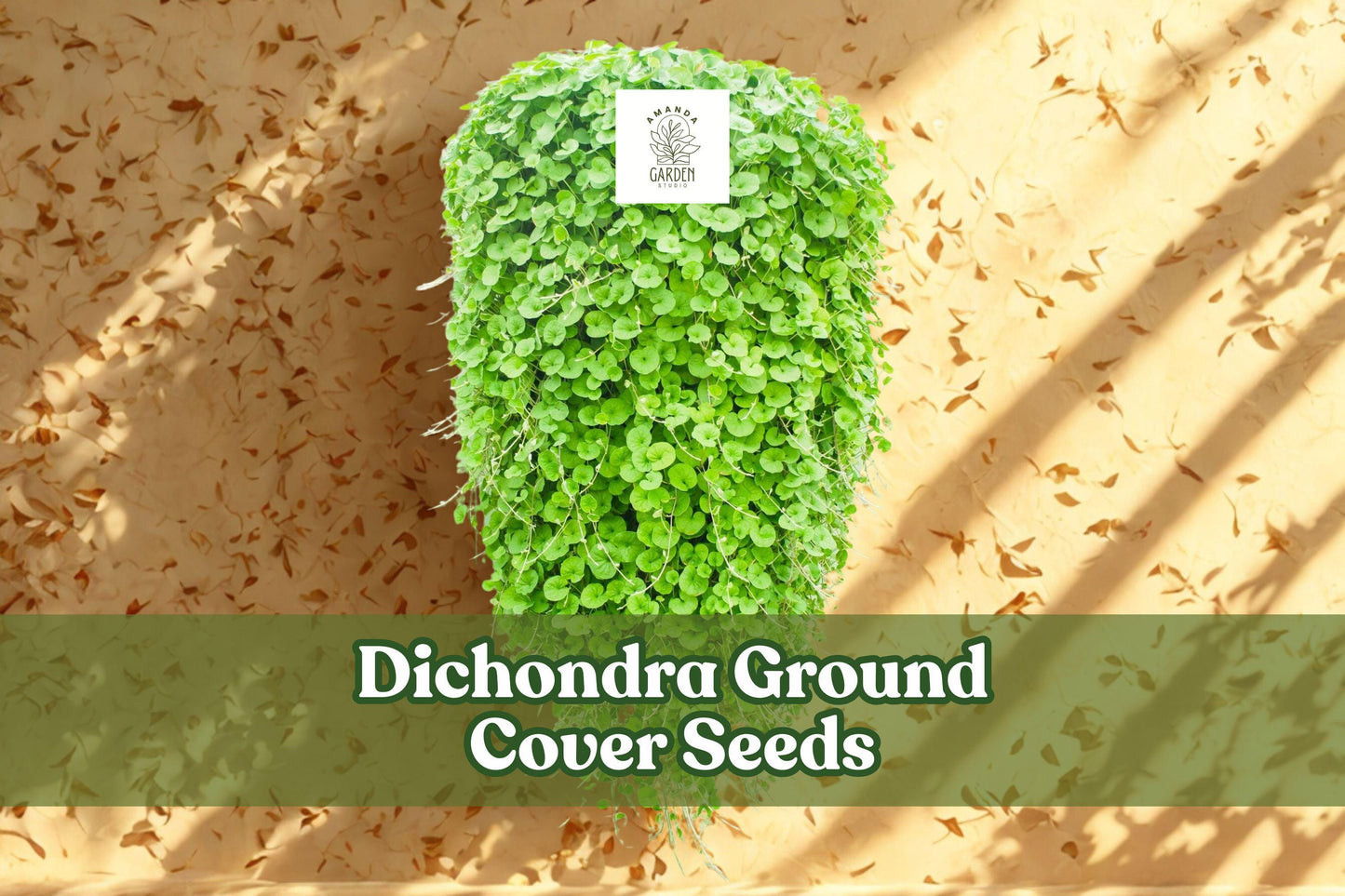 Dichondra Repens Seeds – 100 Pack, Evergreen Ground Cover, Lawn Alternative, Low-Growing Perennial Plant