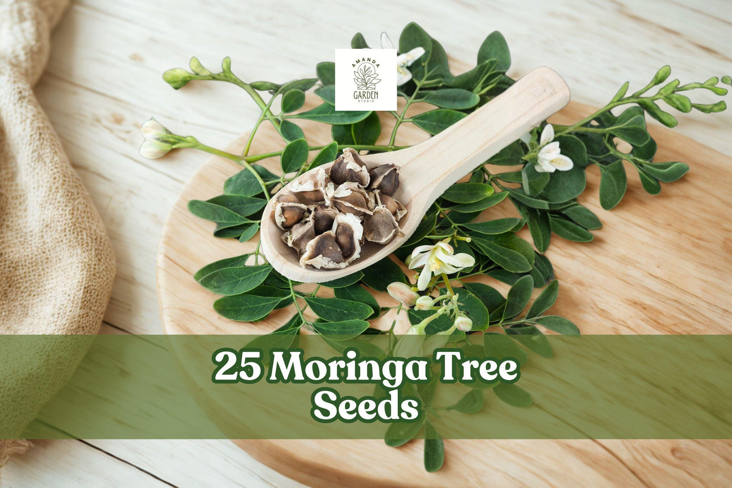 25 Moringa oleifera Tree Seeds for Planting | Tropical Fast-Growing Garden Tree Seeds