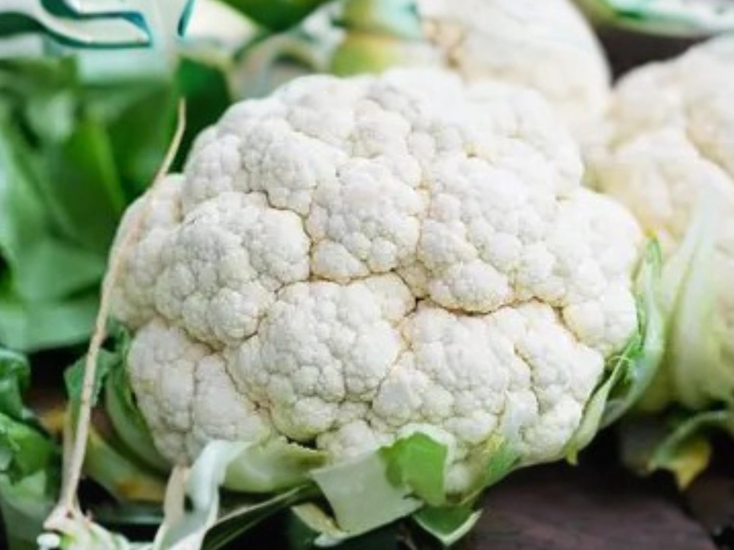 Snowball Y Improved Cauliflower Seeds – Heirloom, Compact, White Heads, 250 Seeds for Cool-Season Gardening