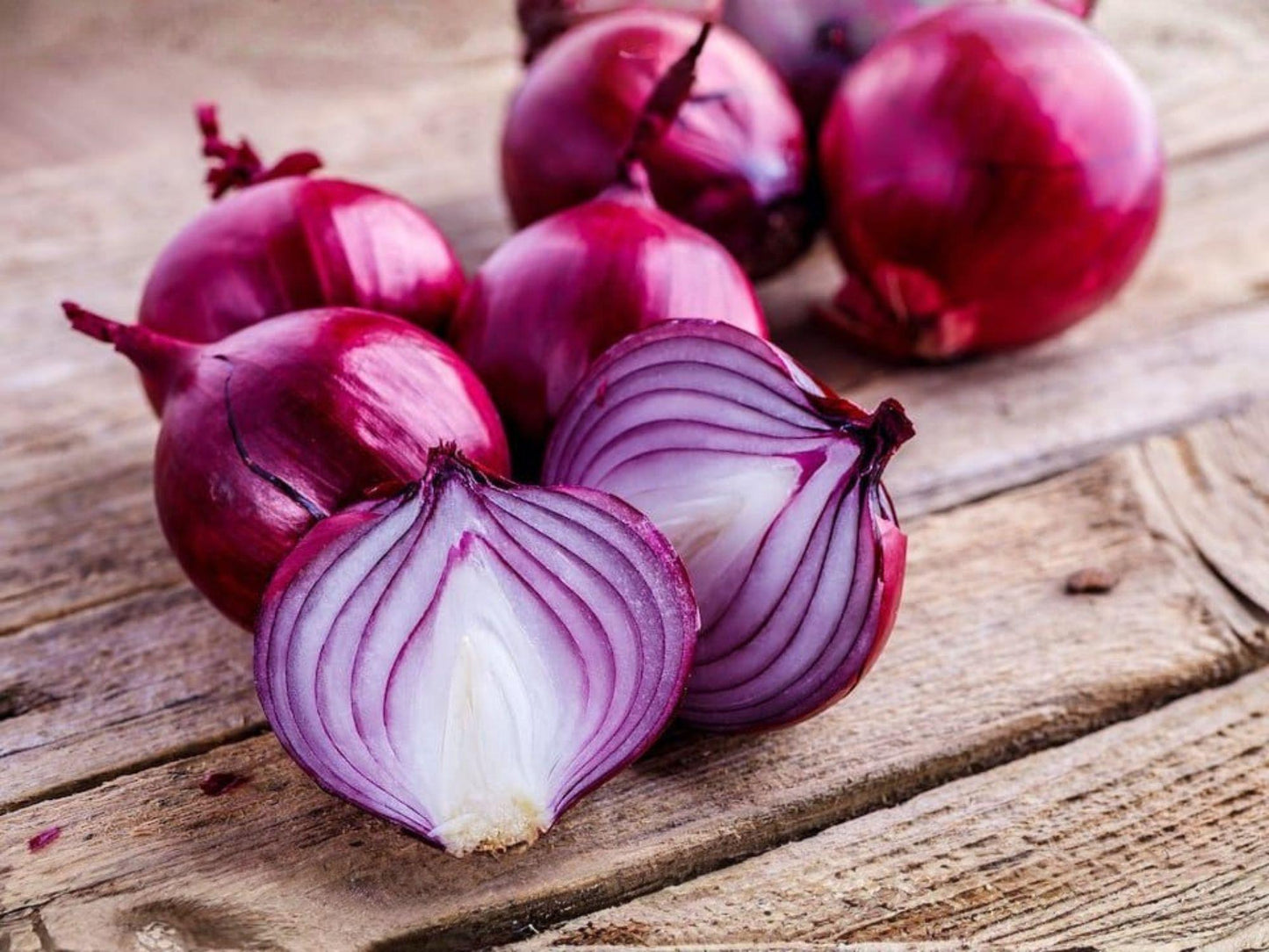 Red Burgundy Onion Seeds – 50 Short-Day Heirloom Red Onion Seeds for Garden, Container, or Raised Bed Cultivation