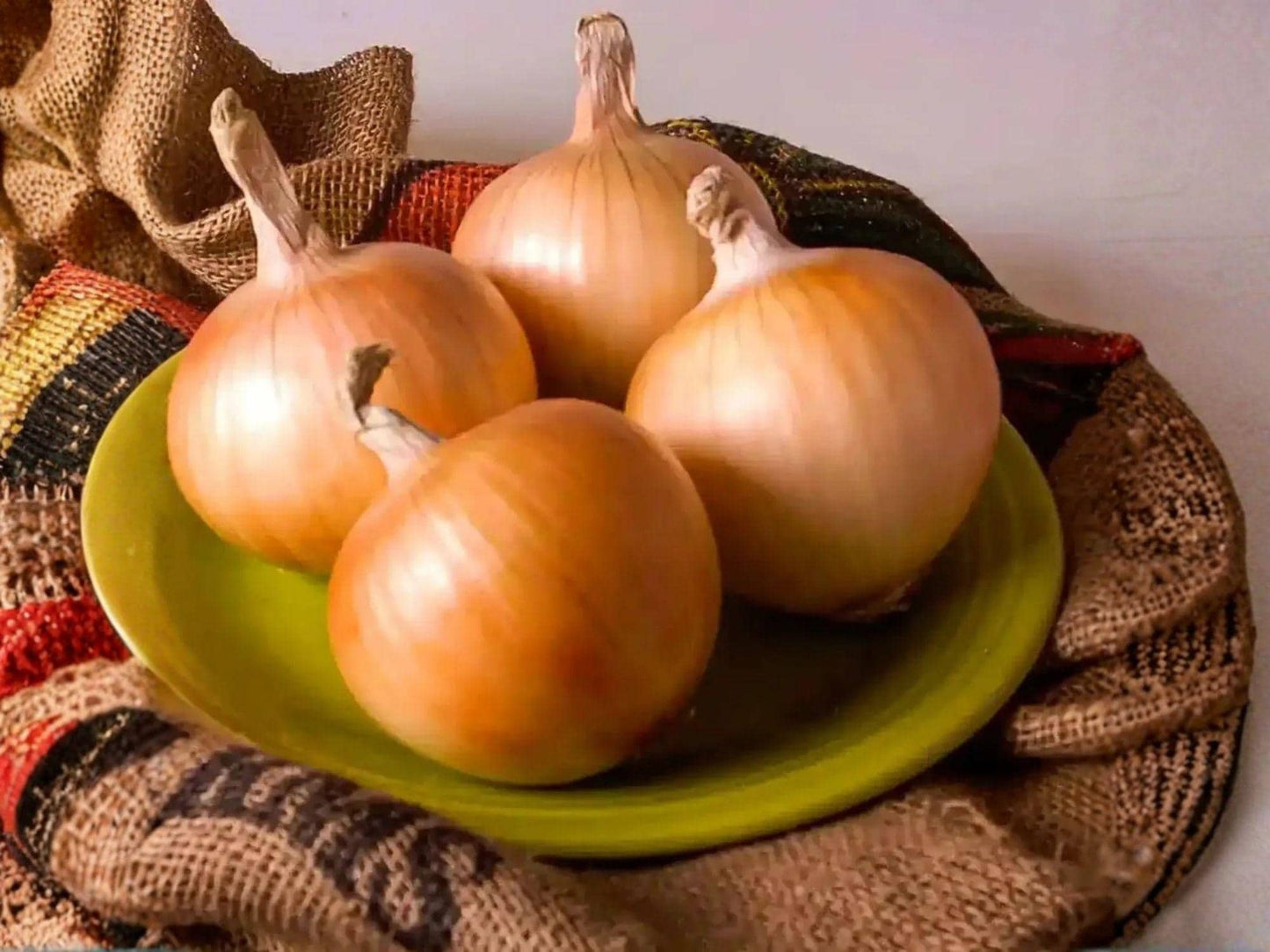 Texas Grano 502 Onion Seeds – Heirloom Sweet Yellow Short-Day Vegetable Seeds for Slicing & Cooking