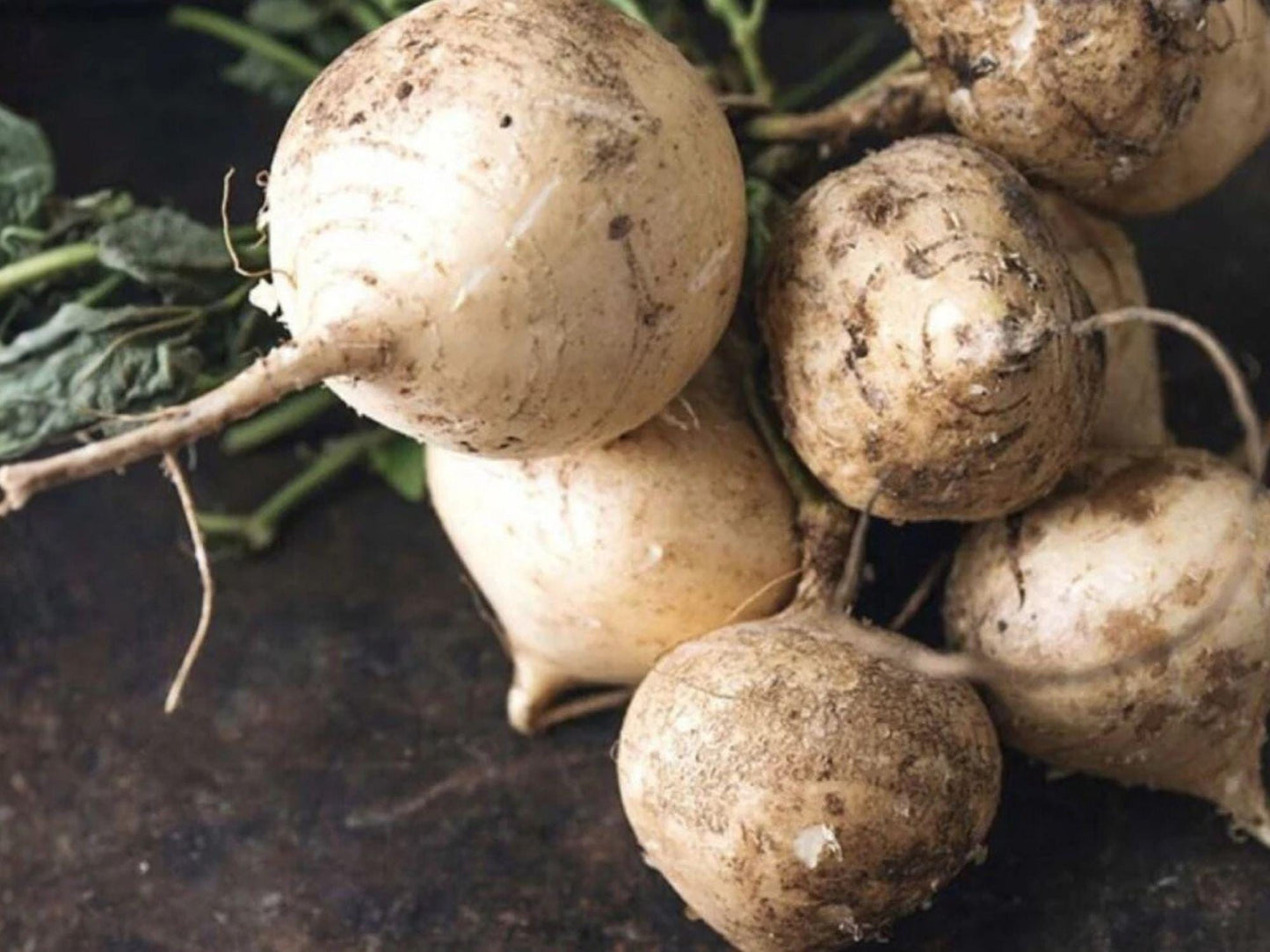 True Jicama Vegetable Seeds – Garden Vining Plant, Green Leaves, 10 Seeds, Ipomoea batatas