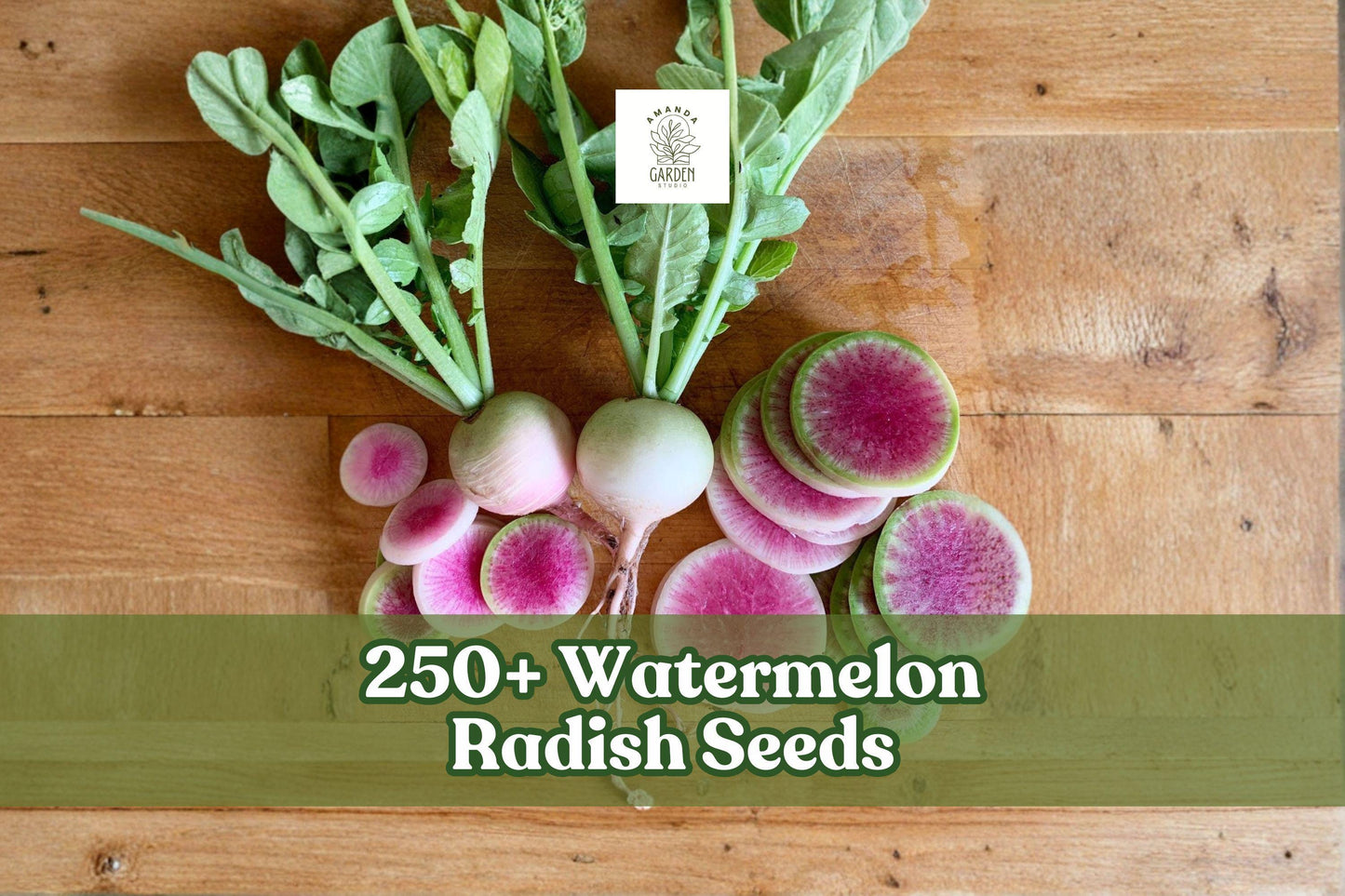 Watermelon Radish Seeds – 250+ Heirloom Raphanus sativus for Home Gardening, Container, and Raised Bed Planting