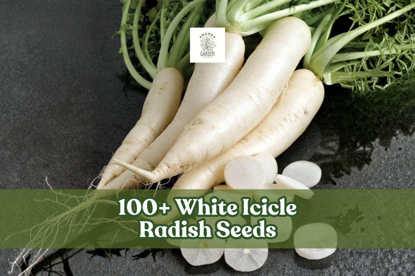White Icicle Radish Seeds – Non-GMO Heirloom Raphanus sativus for Home Garden, Raised Beds, Containers