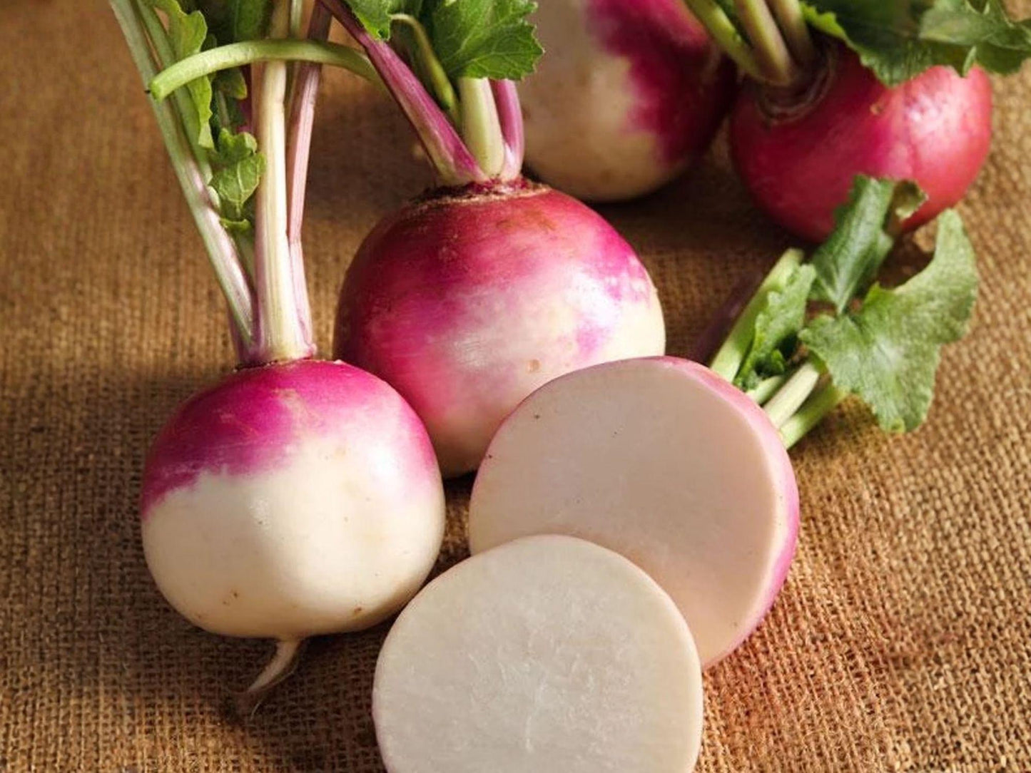 Purple Top White Globe Turnip Seeds – Heirloom, Edible Roots & Greens, 500 Seeds, Cool Season, Brassica rapa