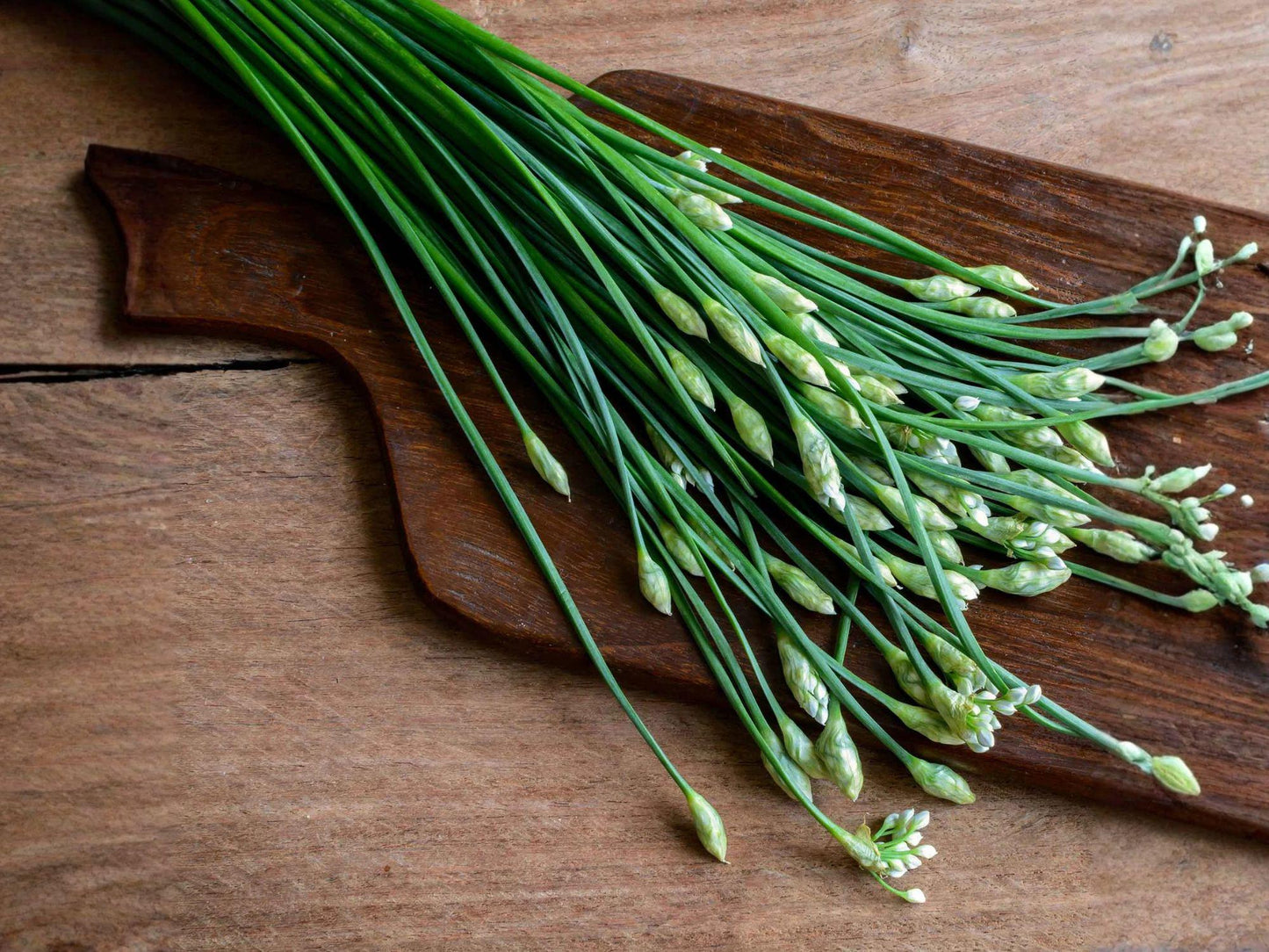 Garlic Chives Seeds 100 Pack – Culinary Herb for Asian Cuisine – Chinese Chives (Allium tuberosum)