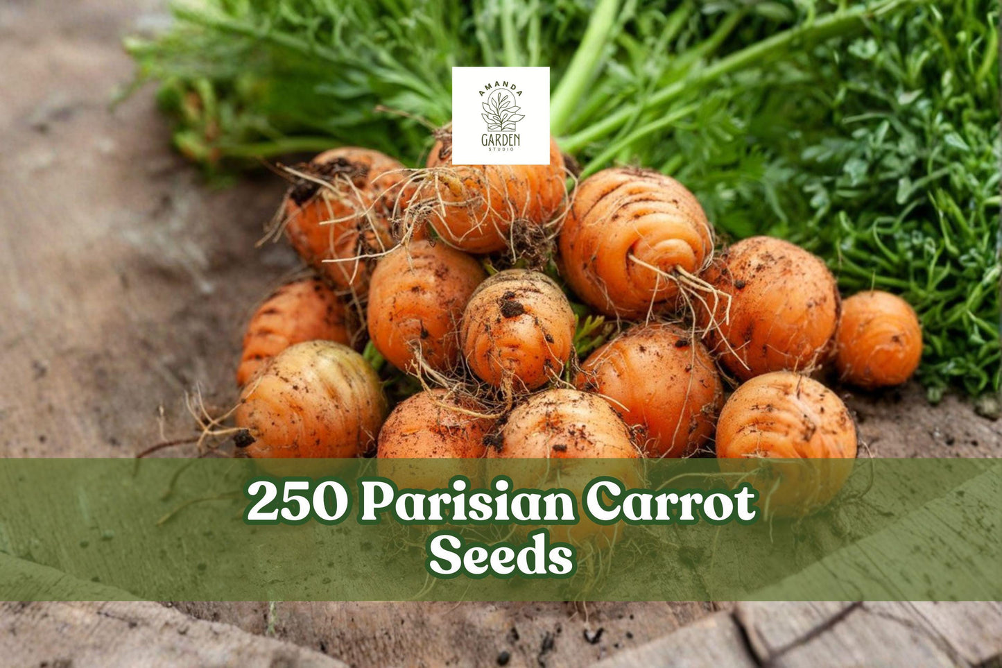 Parisian Carrot Seeds - Heirloom Non-GMO Compact Round Roots for Garden & Container Planting, Daucus carota