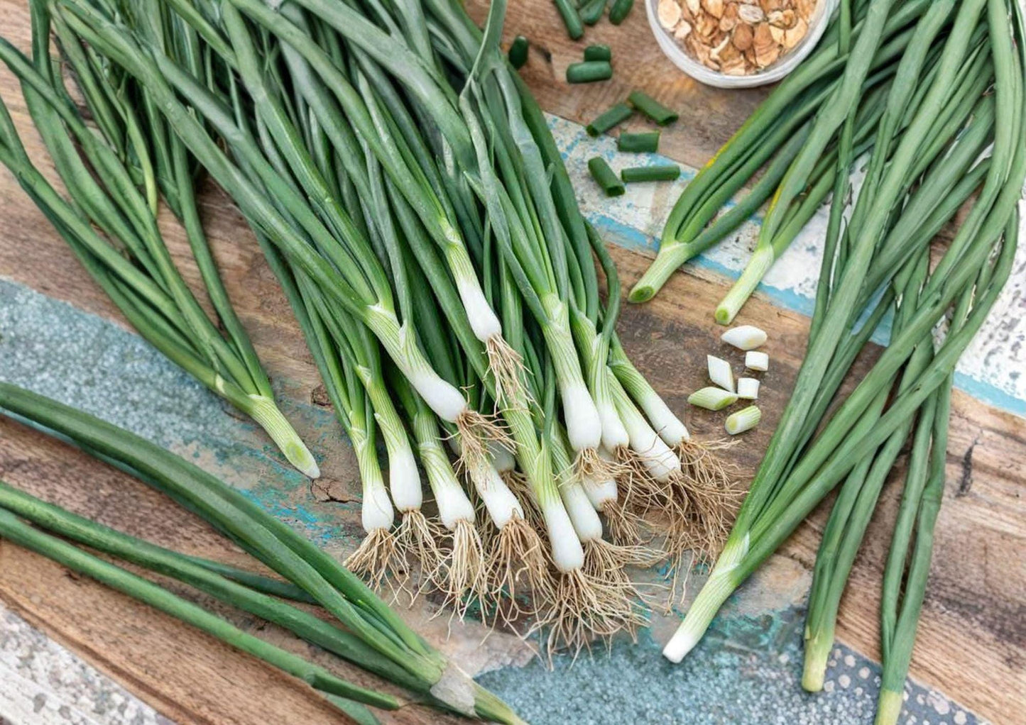White Lisbon Bunching Onion Seeds – Heirloom, Cool Season, Green Tops, Non-Bulbing Allium fistulosum