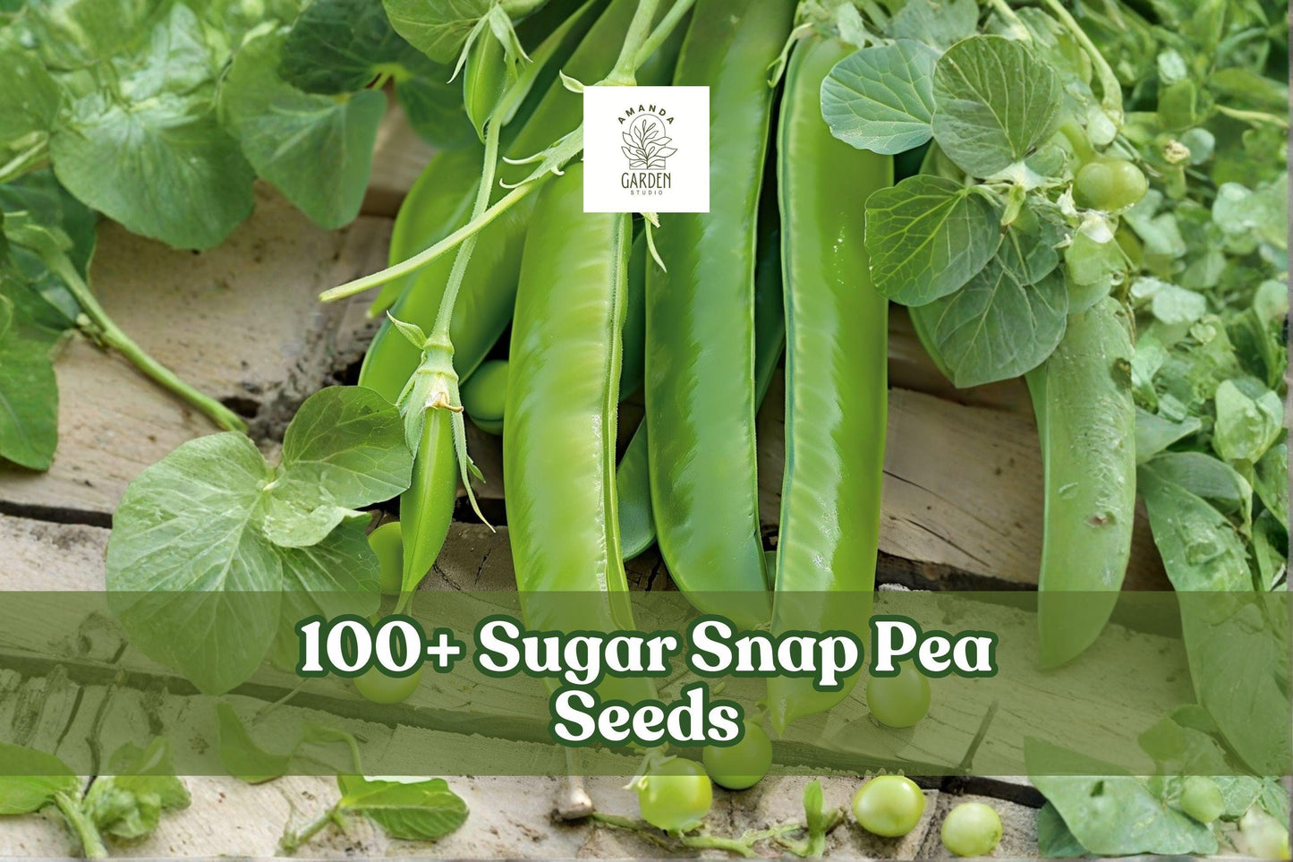 100+ Sugar Snap Pea Seeds – Pisum sativum Climbing Vegetable with Sweet Crisp Pods for Home Garden, Cool Season Crop