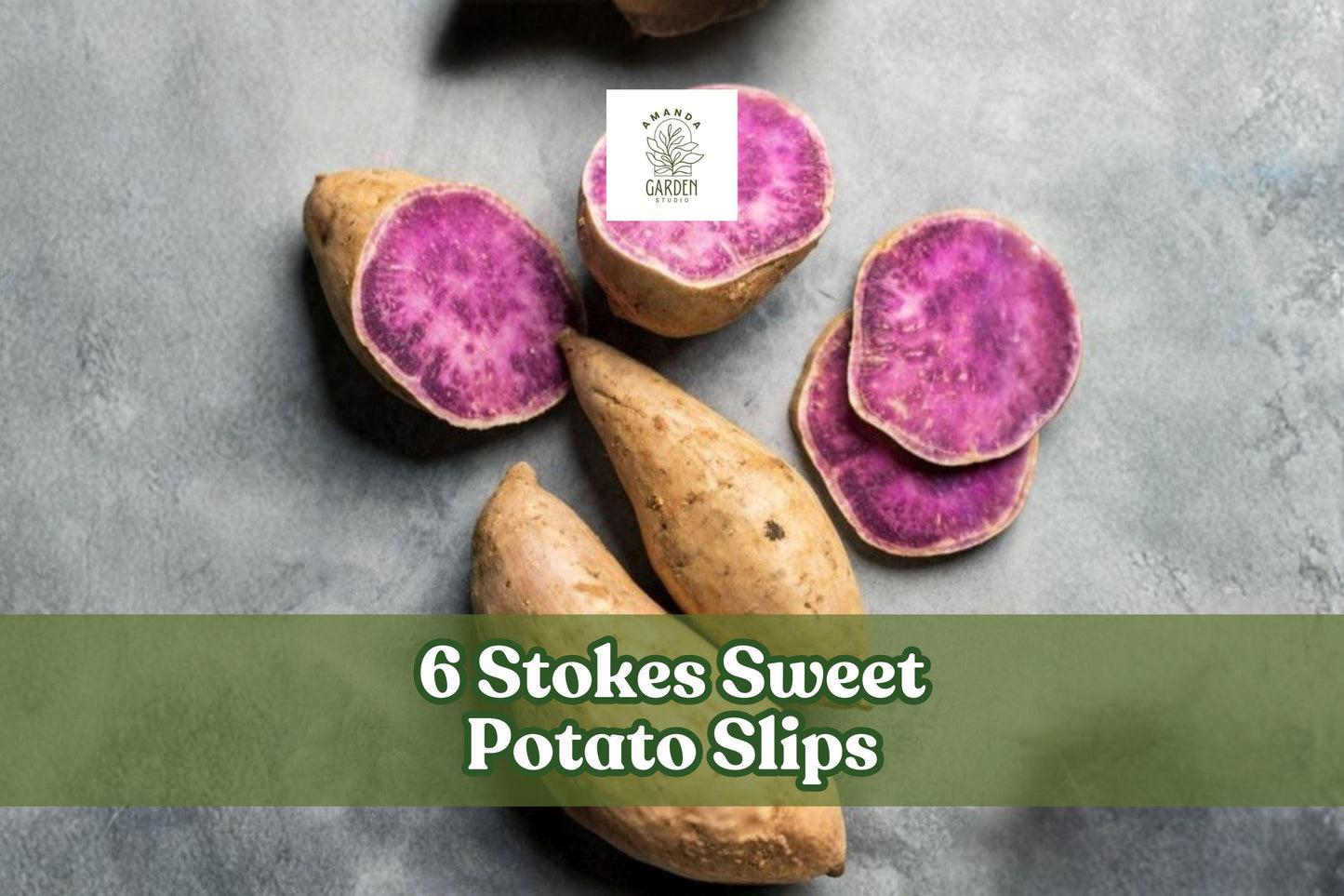 6 Stokes Sweet Potato Slips – Purple-Fleshed Ipomoea batatas, Warm-Season Vegetable, Garden Bed or Raised Bed Plant