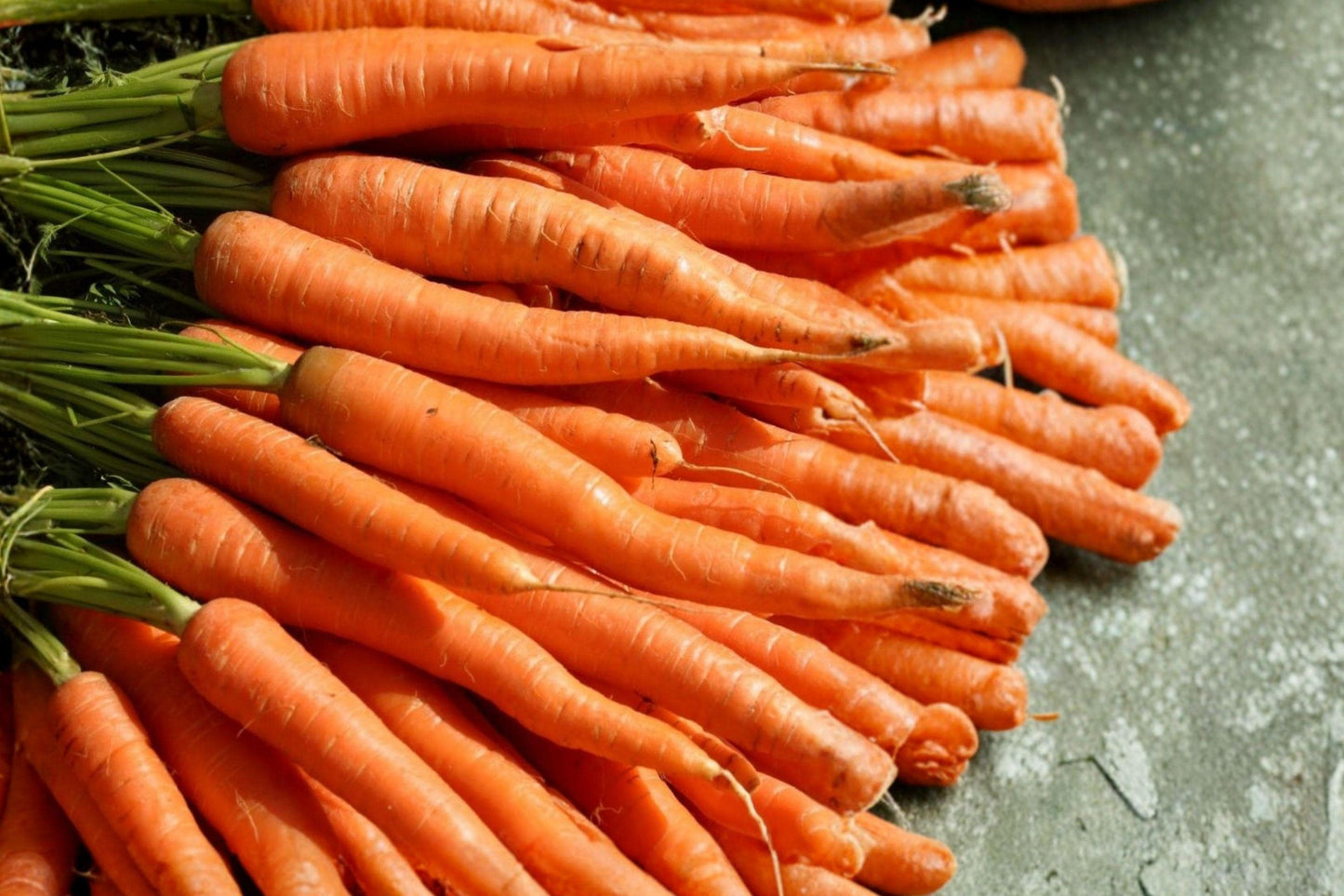 Tendersweet Carrot Seeds - 500 Non-GMO Heirloom Vegetable Seeds for Spring & Fall Gardens