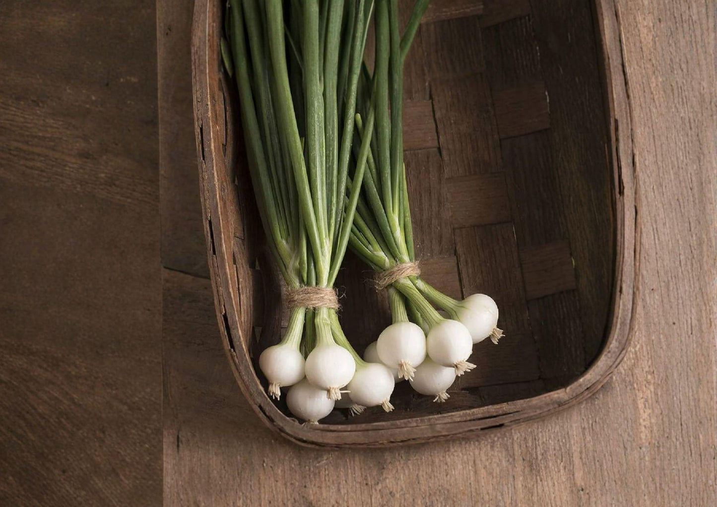 Blanco Duro Onion Seeds – Heirloom White Storage Onions for Garden Growing, Long-Day, 50 Seeds
