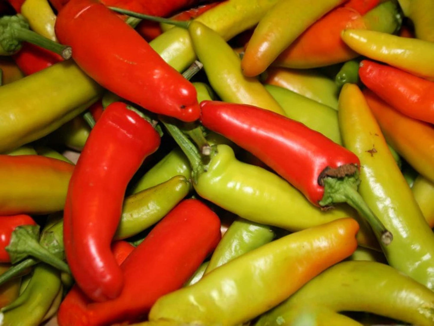 Cubanelle Sweet Pepper Seeds – Heirloom Italian Frying Pepper, Mild Yellow Green, S. annuum