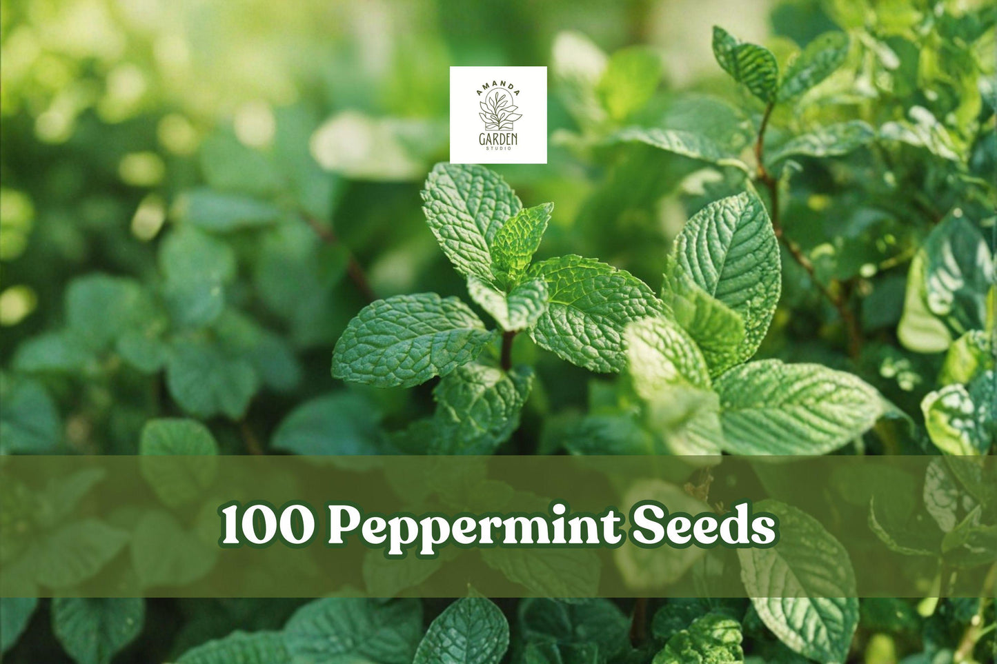 Peppermint Seeds, Aromatic Herb, Mentha × piperita, Perennial, 100 Seeds for Herb Garden, Culinary & Tea Use