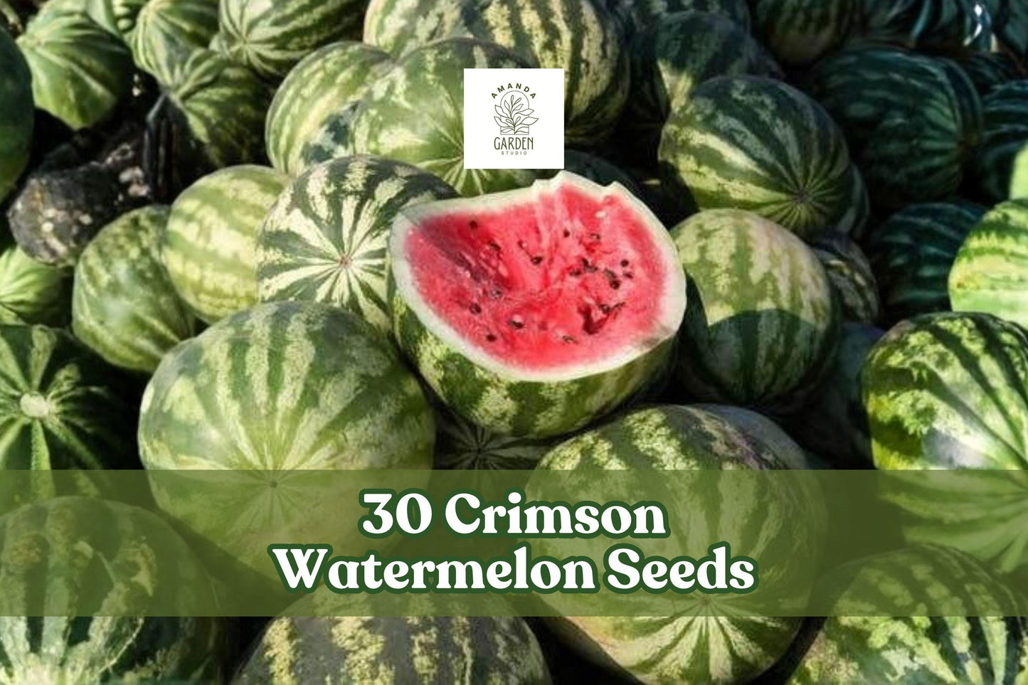 Crimson Watermelon Seeds – Fruit Vine for Garden, Edible, Citrullus lanatus