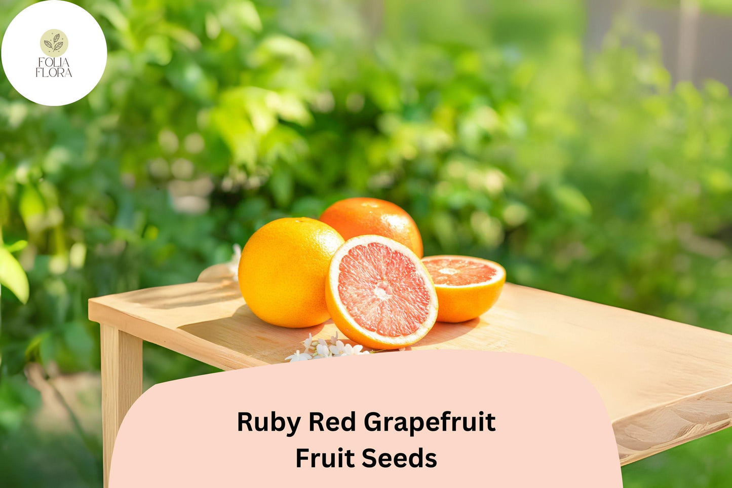Ruby Red Grapefruit Seeds – Citrus × paradisi – Grow Your Own Pink Fruit Tree for Garden or Container