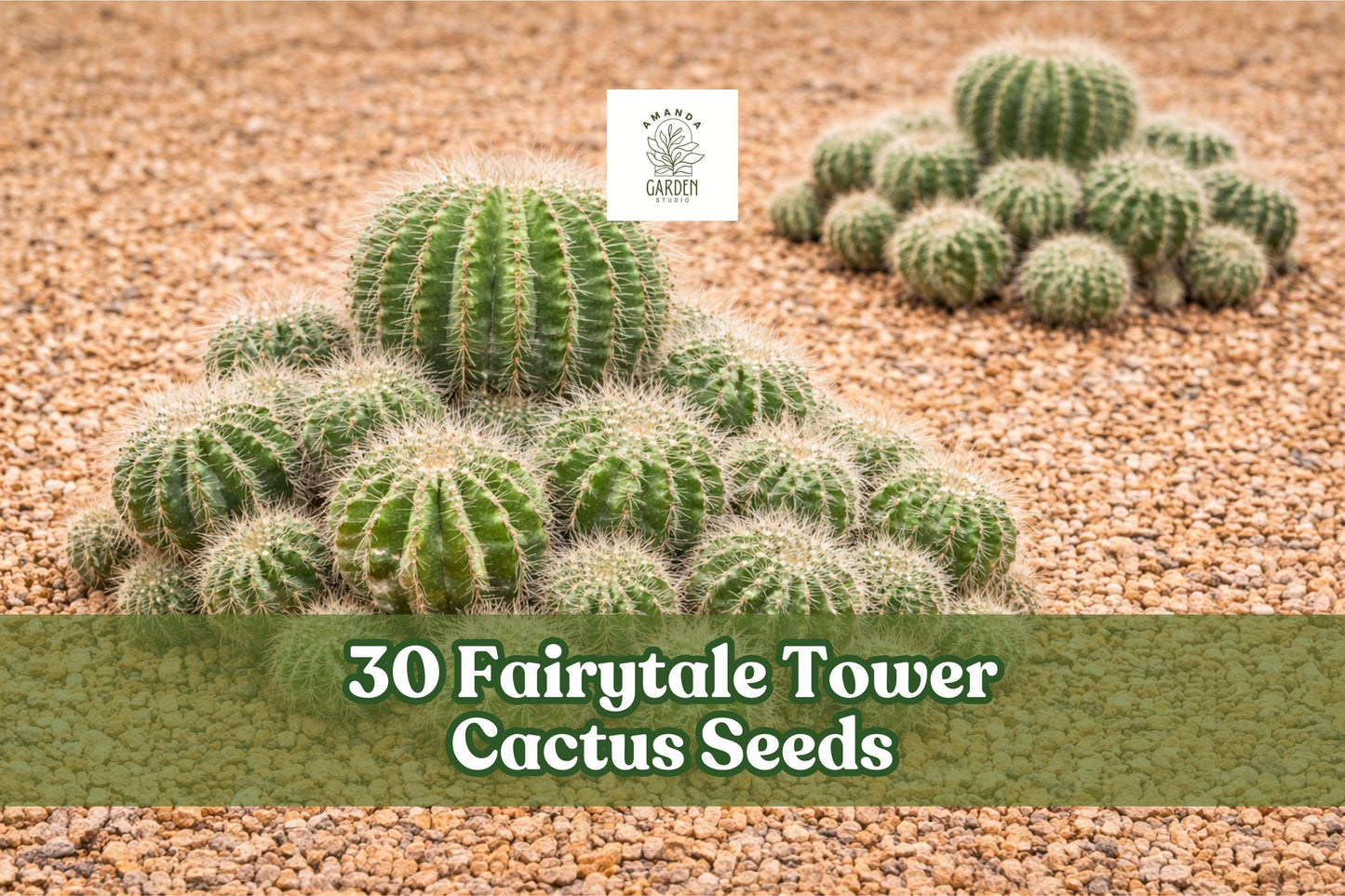 Fairytale Tower Cactus Seeds – Echinopsis mamillosa – Ornamental Columnar Succulent for Gardens & Containers