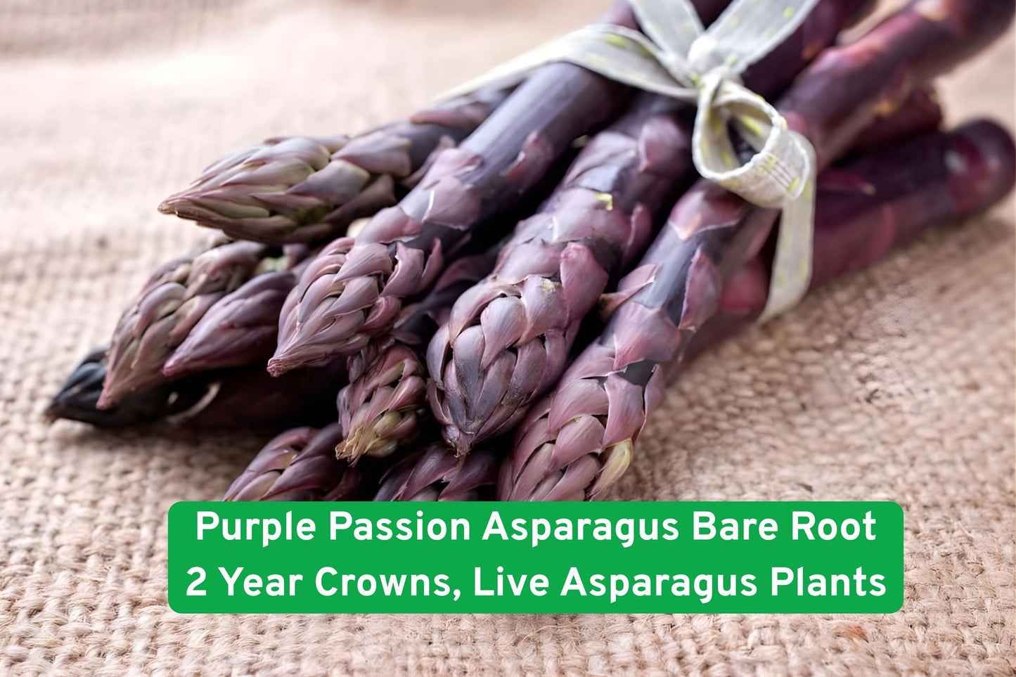 purple asparagus, edible garden plants, perennial vegetable, bare root crowns, organic gardening, homegrown produce, backyard farming, purple spears, vegetable seedlings, spring harvest, easy to grow, food production plant, garden-to-table
