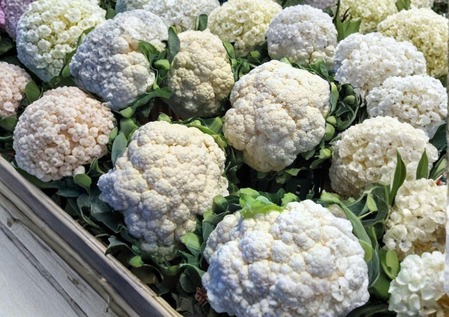 Self-Blanching Cauliflower Seeds, Heirloom Non-GMO Brassica Oleracea, Cool Season Garden Vegetable, White Head Planting Pack