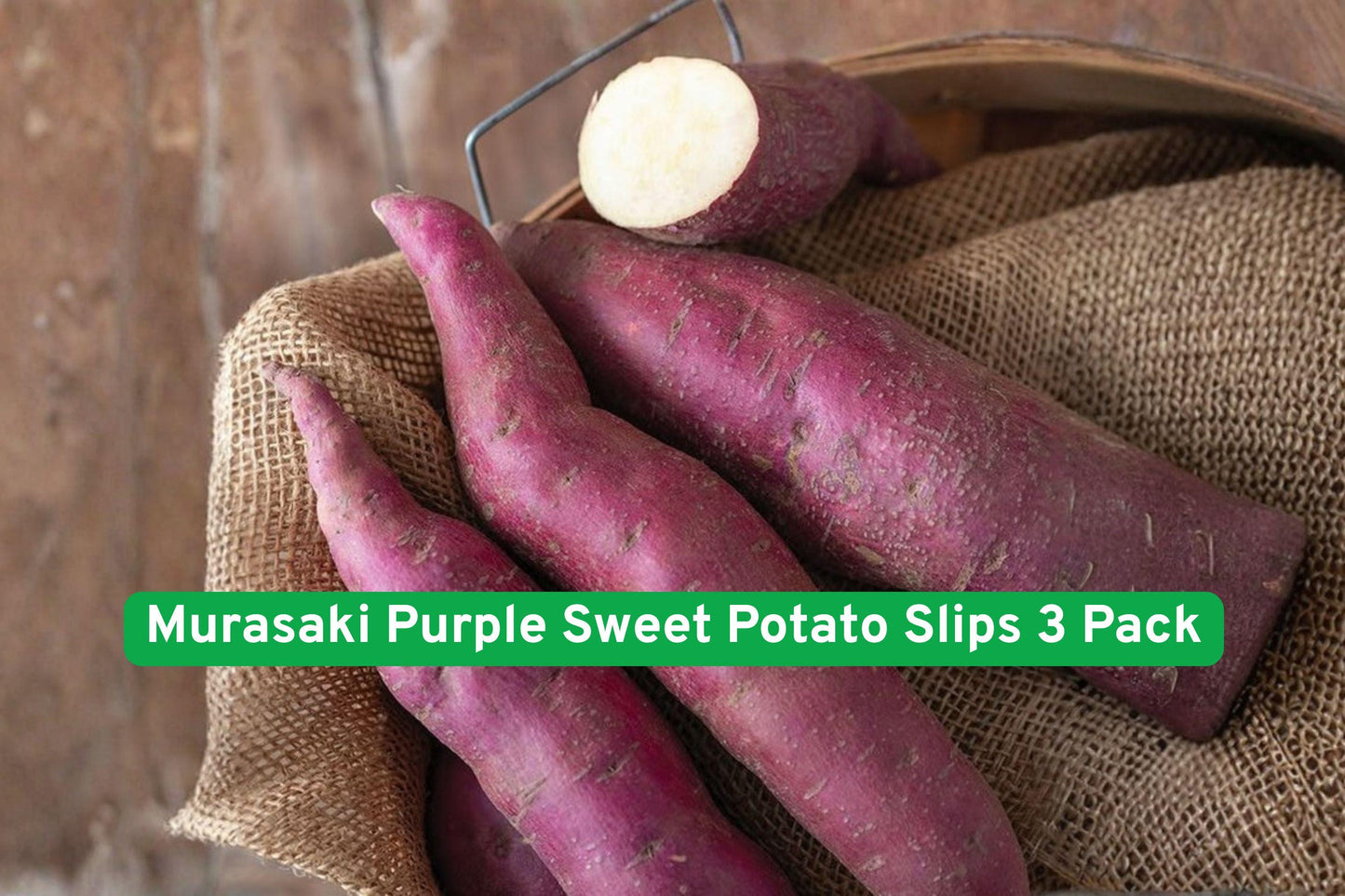 purple sweet potato slips, edible garden plants, organic vegetable starts, backyard vegetable seedlings, homegrown root vegetables, purple flesh sweet potatoes, easy grow vegetable slips, heirloom sweet potato plants, nutritious garden crops, culinary gardening supplies, vine spreading vegetable, beginner-friendly garden plants, colorful root vegetable starts