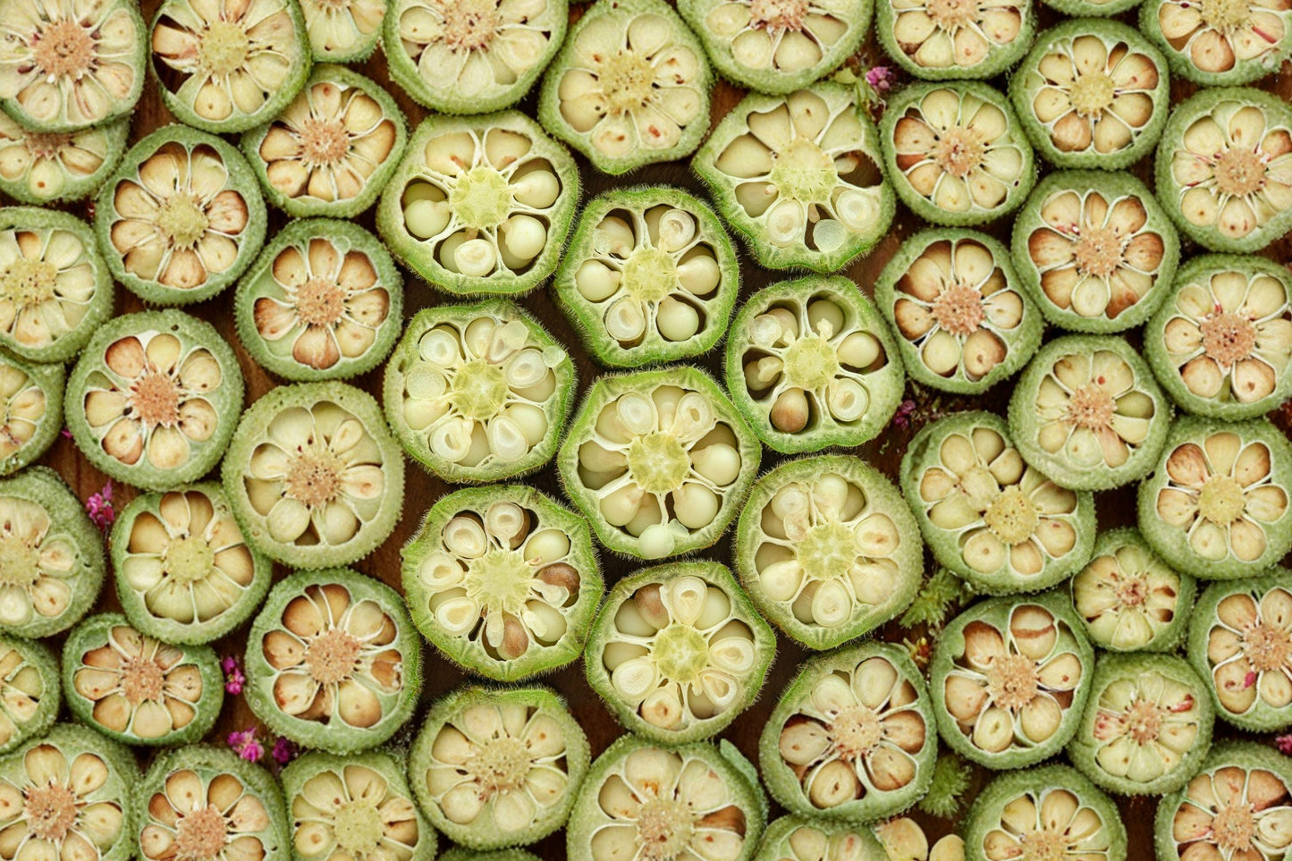 Emerald Okra Seeds Heirloom Non-GMO Spineless Pods High Yield Heat Tolerant Vegetables