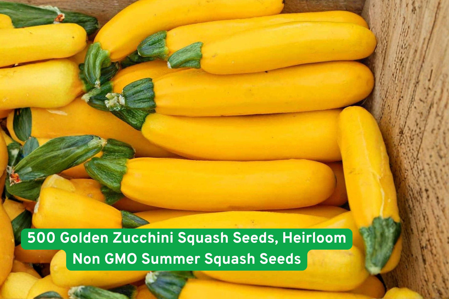 golden zucchini seeds, summer squash seeds, heirloom vegetable seeds, non-GMO garden seeds, bright yellow zucchini, high yield squash, beginner gardening seeds, edible garden seeds, backyard farming supplies, vegetable garden seeds, fast growing squash, seasonal harvest seeds, versatile cooking squash