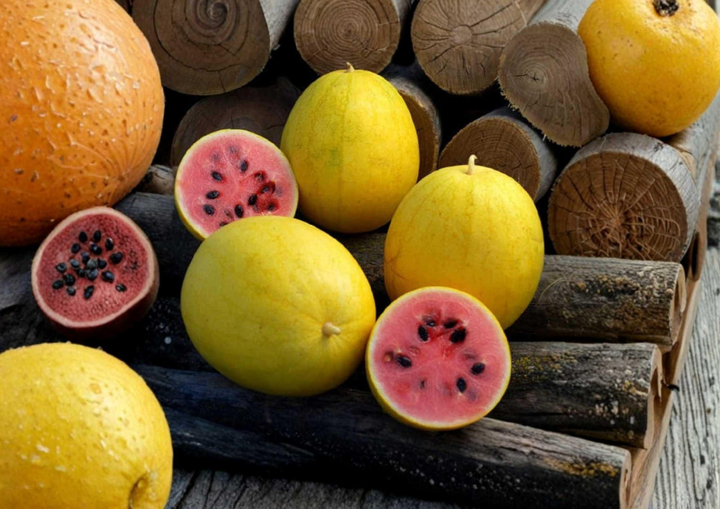 Golden Midget Watermelon Seeds - Heirloom Organic Non-GMO Mini Yellow Skin Fruit Seeds for Garden Planting