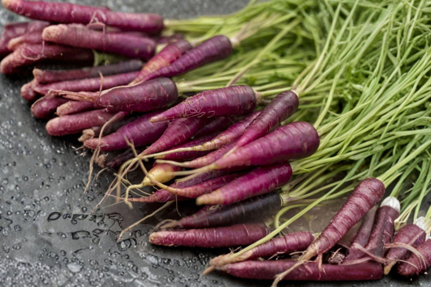 Cosmic Purple Carrot Seeds, Heirloom Non-GMO, Root Vegetable, Deep Purple Exterior, Bright Orange Core, 200+ Seeds
