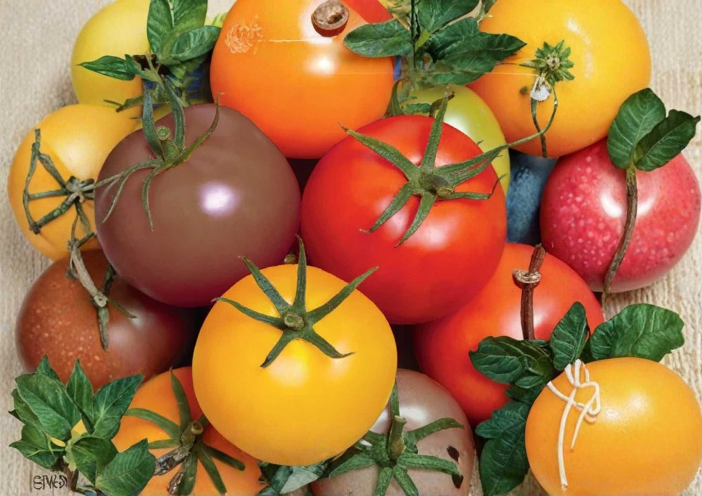 120+ Rainbow Cherry Tomato Seeds, Heirloom Non-GMO Vegetable Seeds for Garden Planting, Solanum lycopersicum