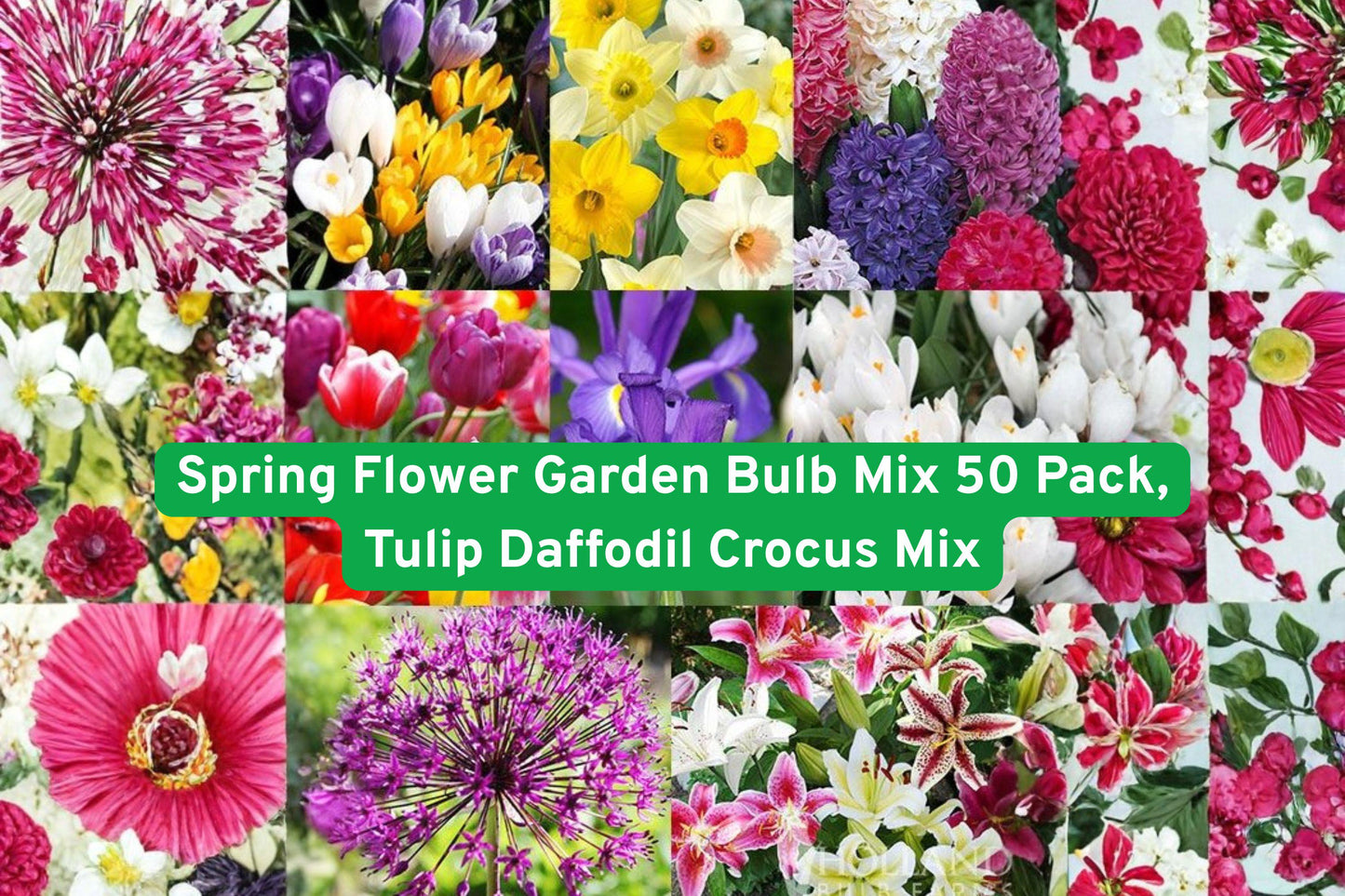 spring flower bulbs, garden bulb mix, colorful flower bulbs, perennial garden bulbs, spring blooming flowers, summer flowering bulbs, mixed flower bulbs, garden plant seeds, vibrant garden display, beginner friendly bulbs, flower bed bulbs, seasonal garden kit, outdoor planting bulbs
