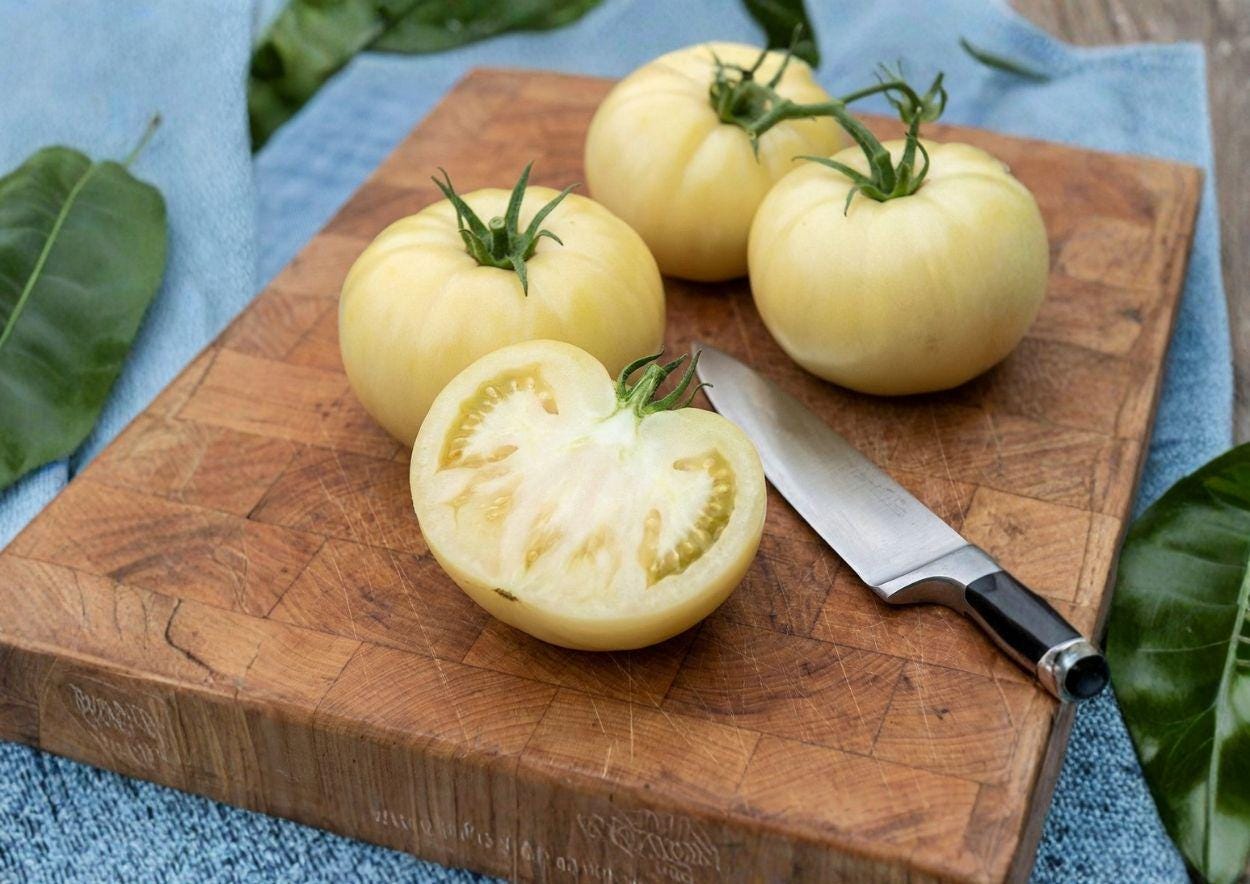 30+ Chefs Choice White Tomato Seeds – Heirloom Pale Cream Slicer Tomato, Solanum lycopersicum