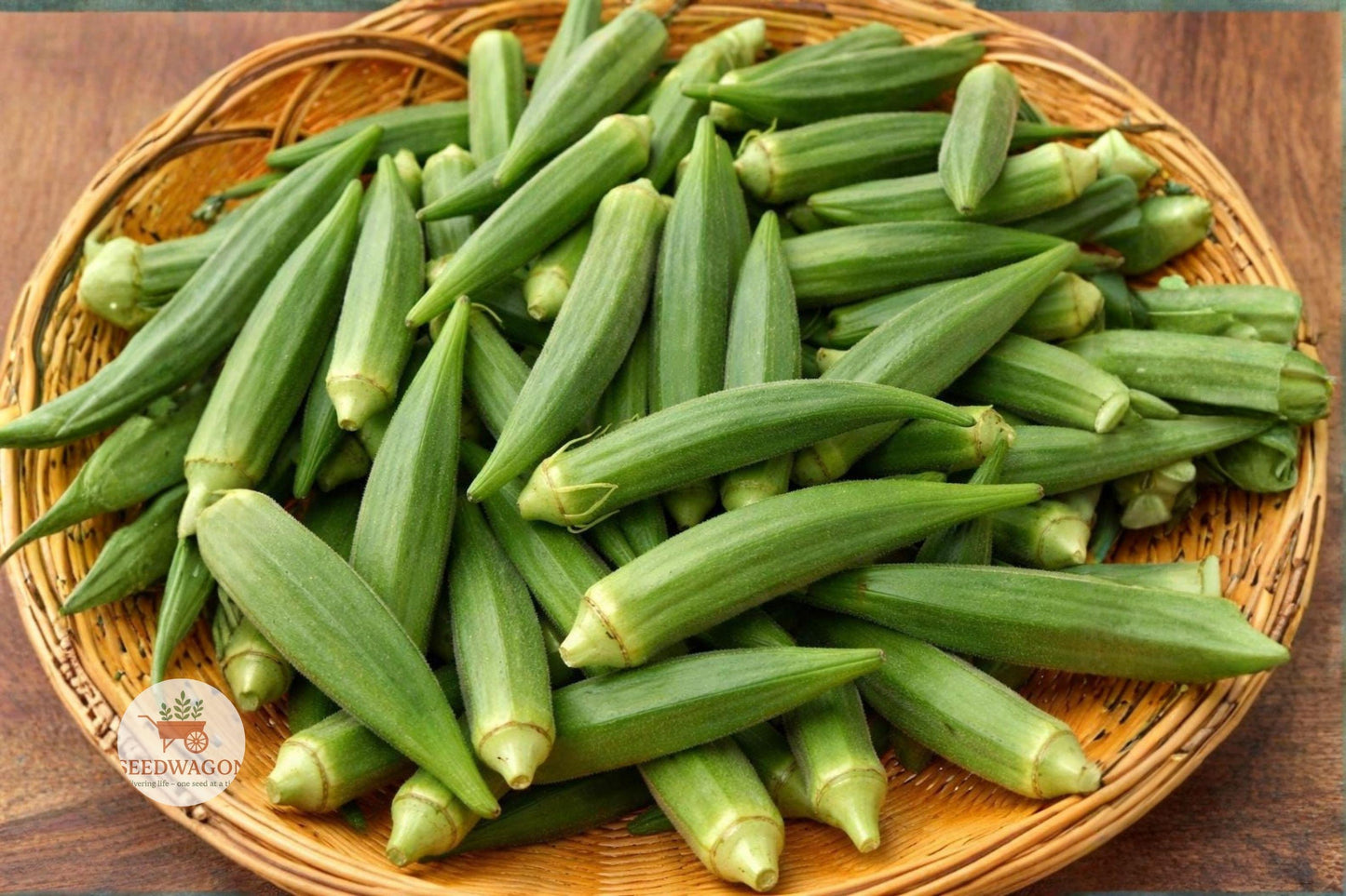 okra seeds, heirloom vegetable seeds, non-GMO okra, green pod seeds, warm season garden, easy grow vegetable, edible landscape seeds, high yield okra, frying okra seeds, tender green pods, vegetable garden seeds, heirloom vegetable plant, summer crop seeds