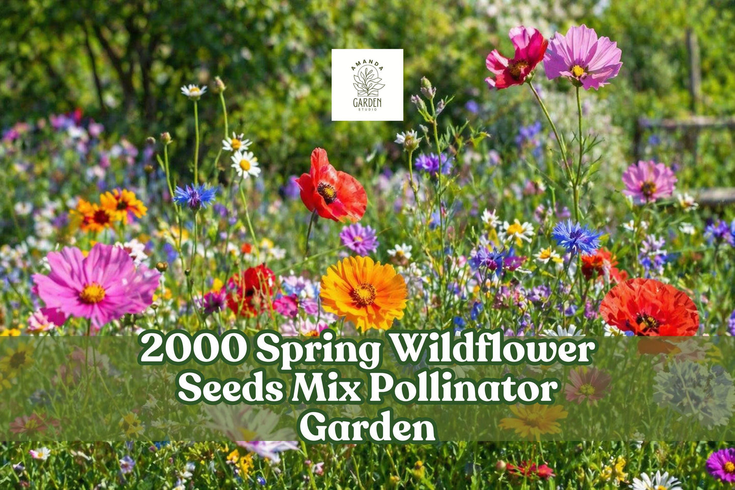 Wildflower Seeds Mix 2000+ Seeds for Pollinator Garden, Outdoor Planting, Seasonal Color, Easy Scatter, Mixed Annuals & Perennials