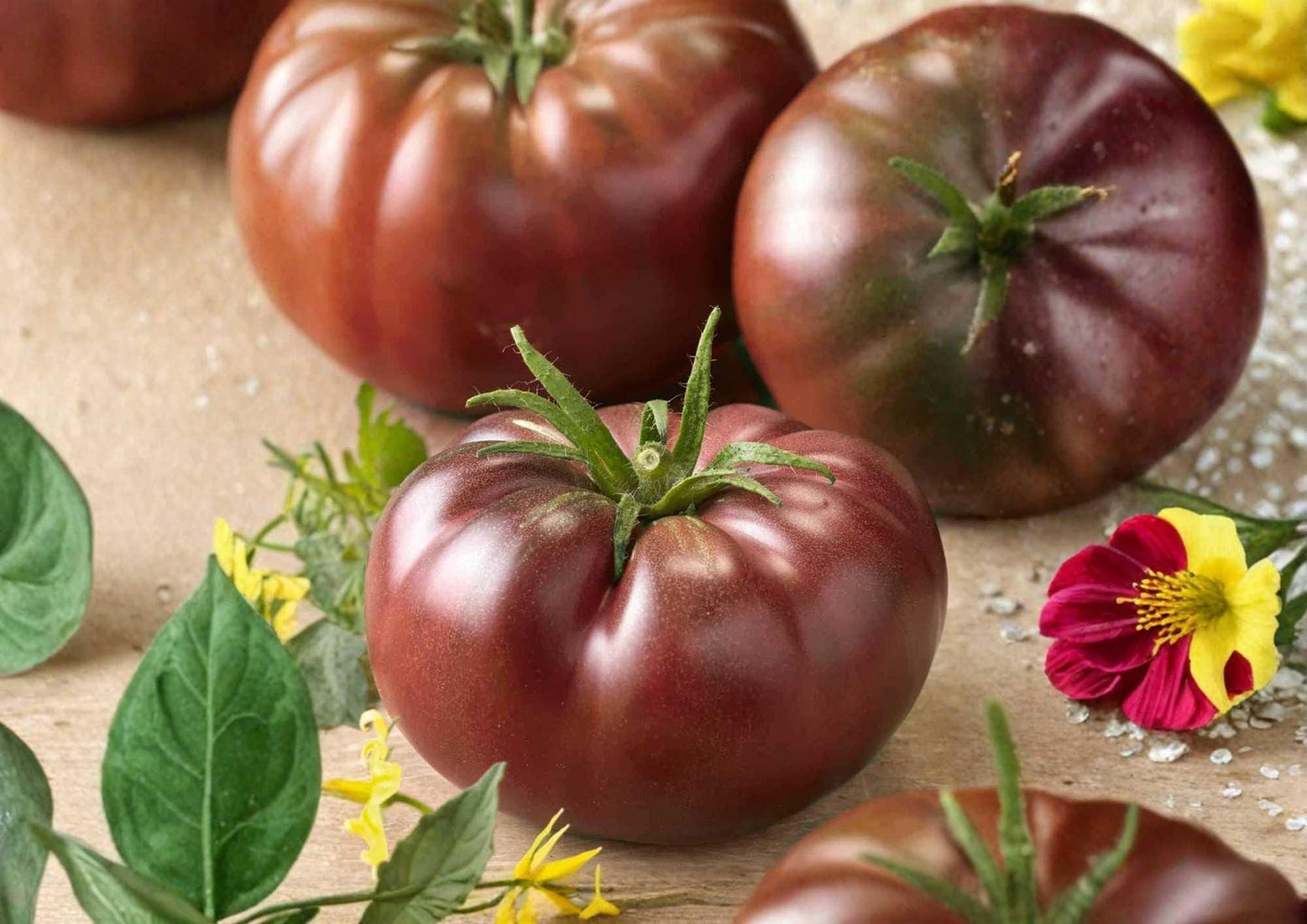 Black Krim Tomato Seeds - Heirloom Organic Non-GMO Vegetable Seeds for Garden Planting