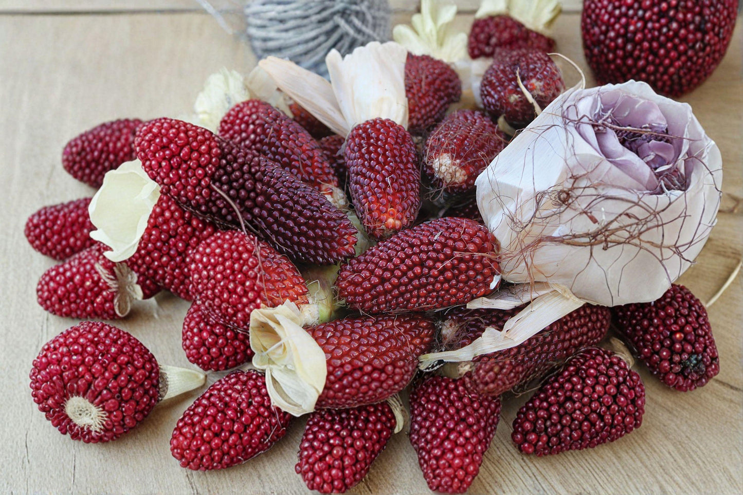 Strawberry Popcorn Seeds – Zea mays – Decorative Red Ears, Edible Popcorn, Annual Vegetable Seeds, Full Sun, 35 Seeds